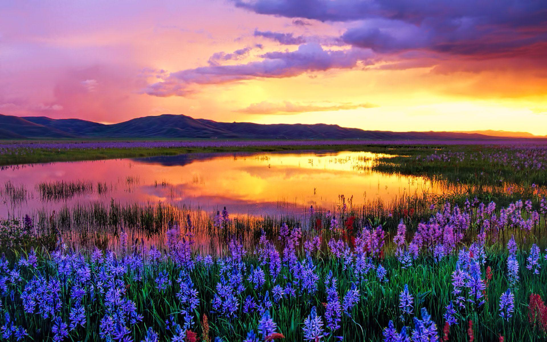 Camas Prairie at Sunset, Idaho, USA widescreen wallpapers