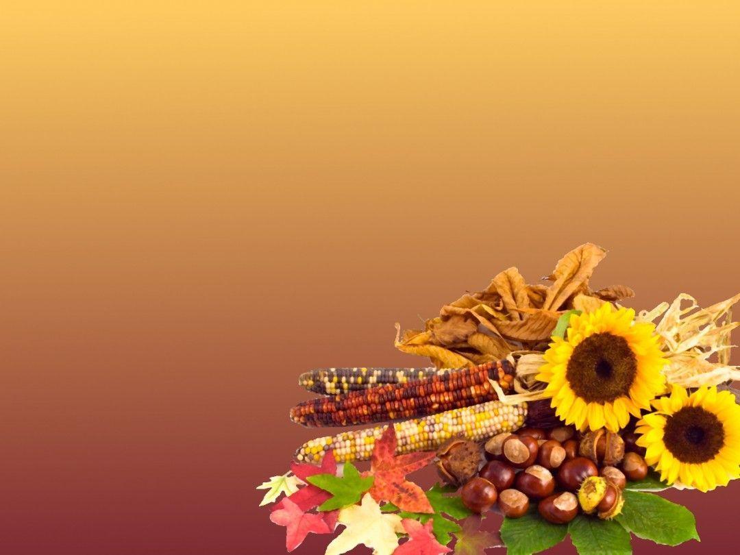 Free Thanksgiving Wallpaper Backgrounds