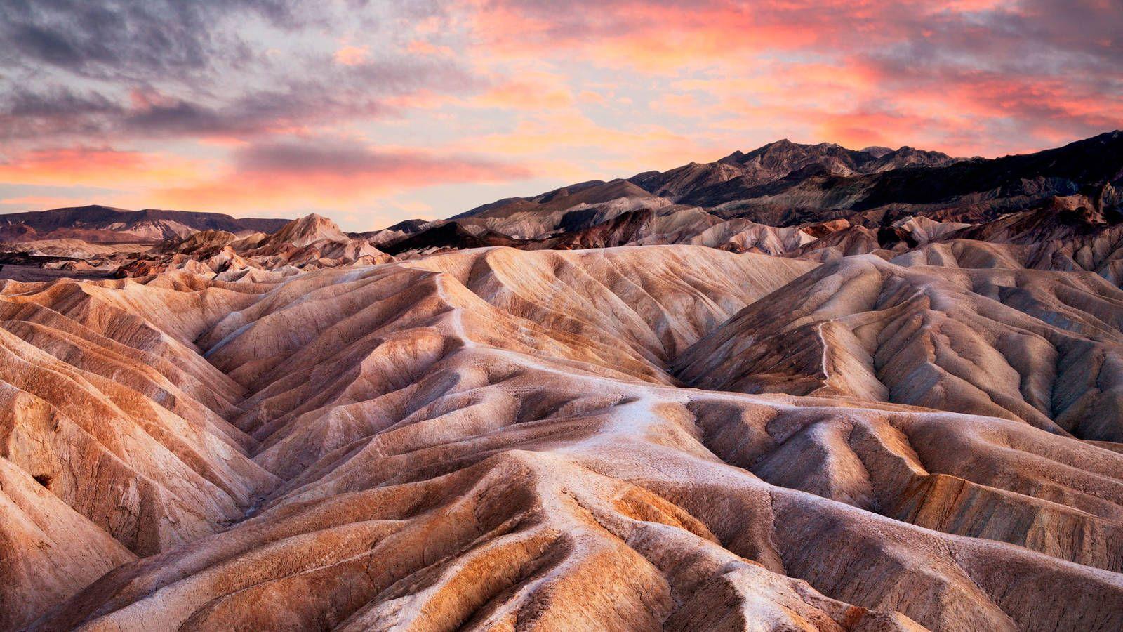 Joshua Tree and Death Valley · National Parks Conservation Association