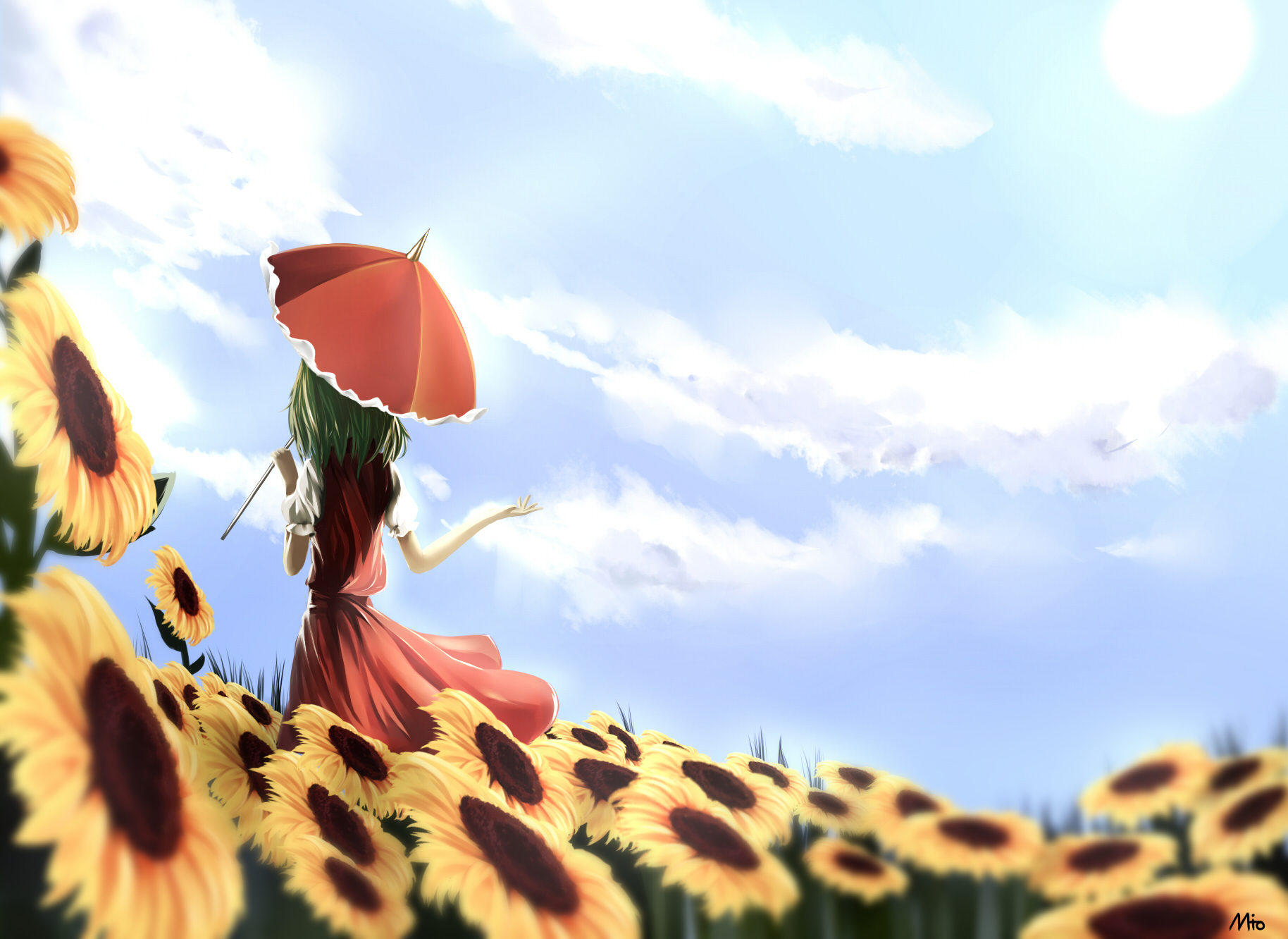 Touhou clouds flowers grass green hair kazami yuuka mito short hair