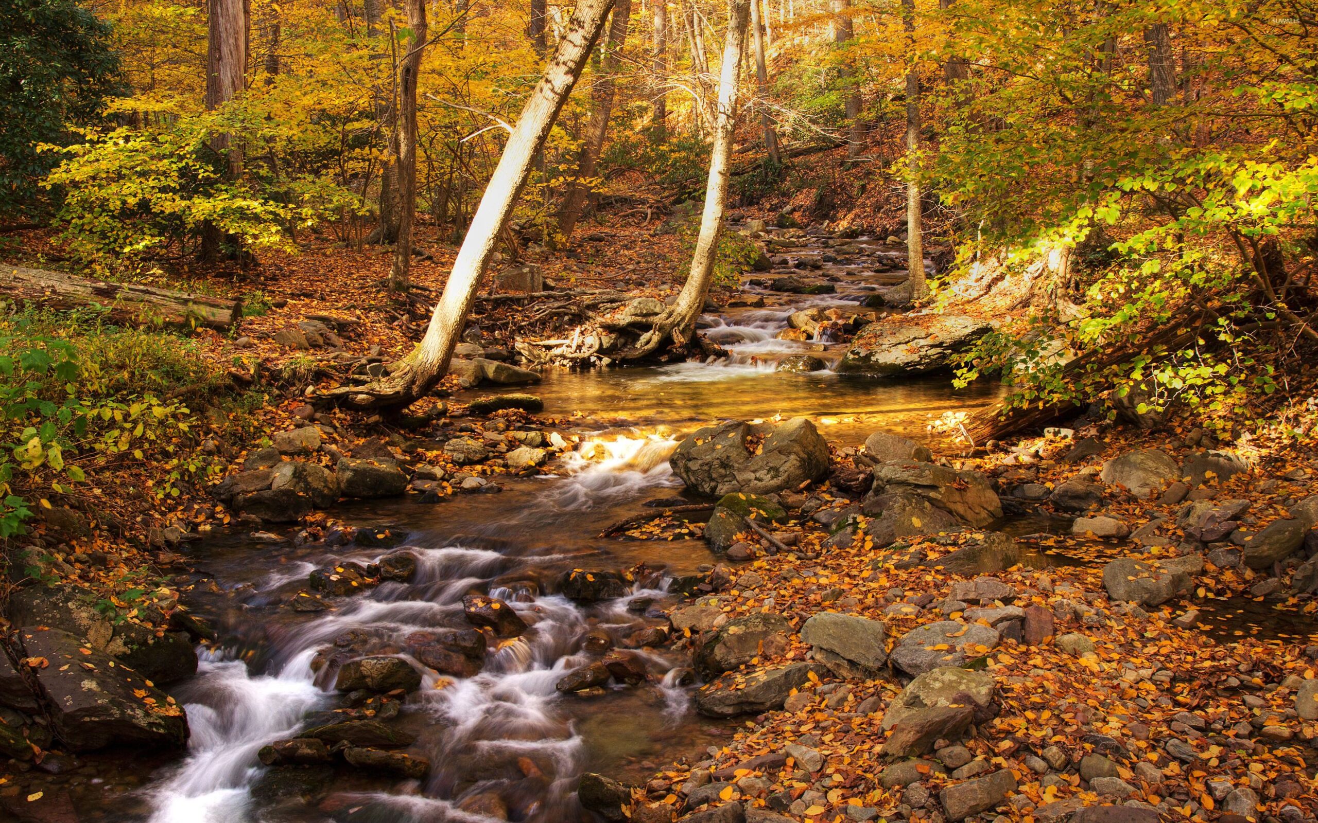 Delaware Water Gap wallpapers