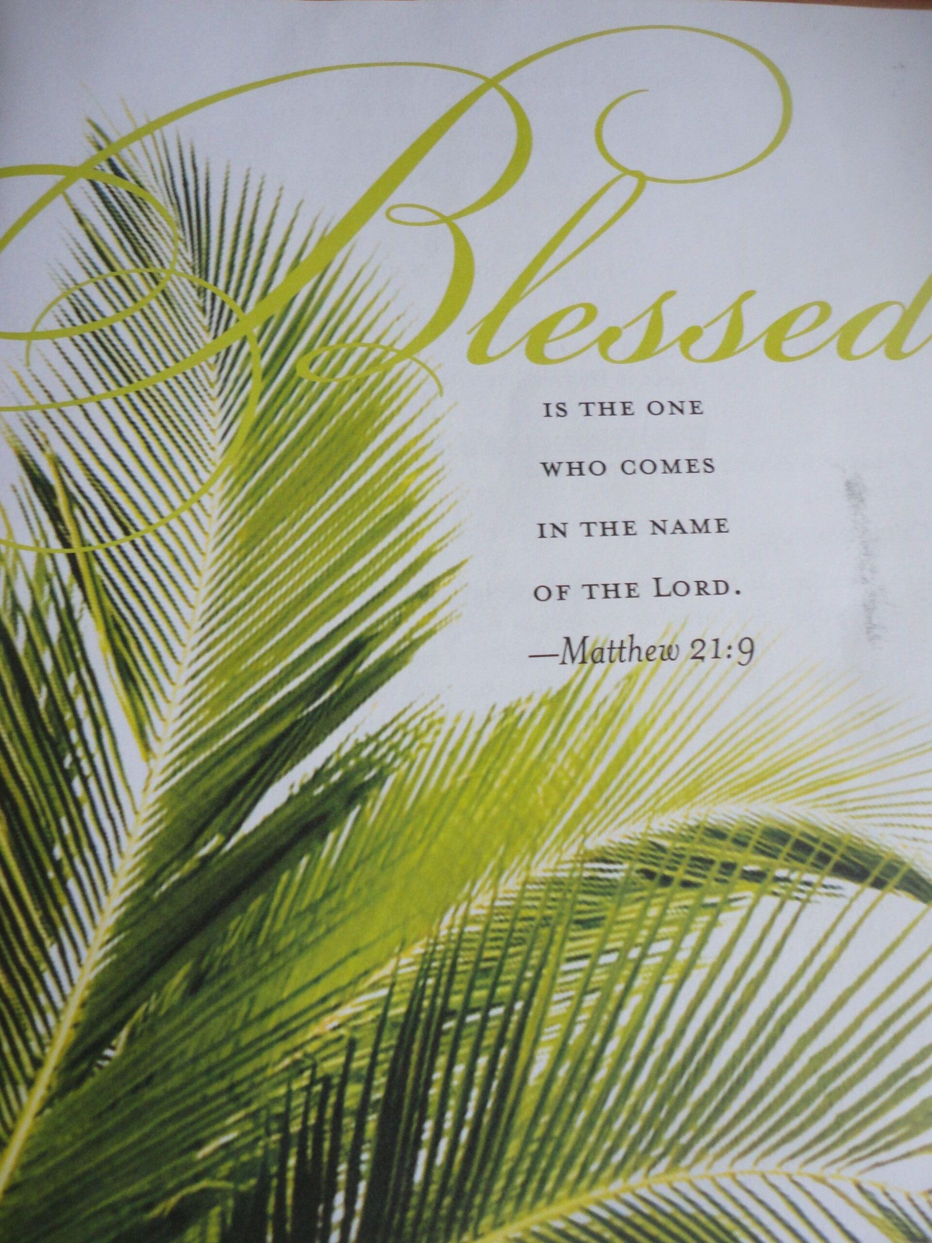 Happy Palm Sunday! : Christianity