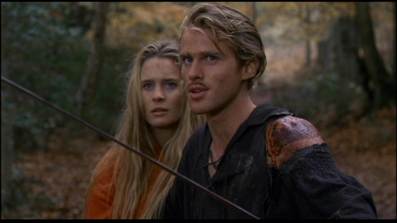 The Princess Bride image The Princess Bride HD wallpapers and