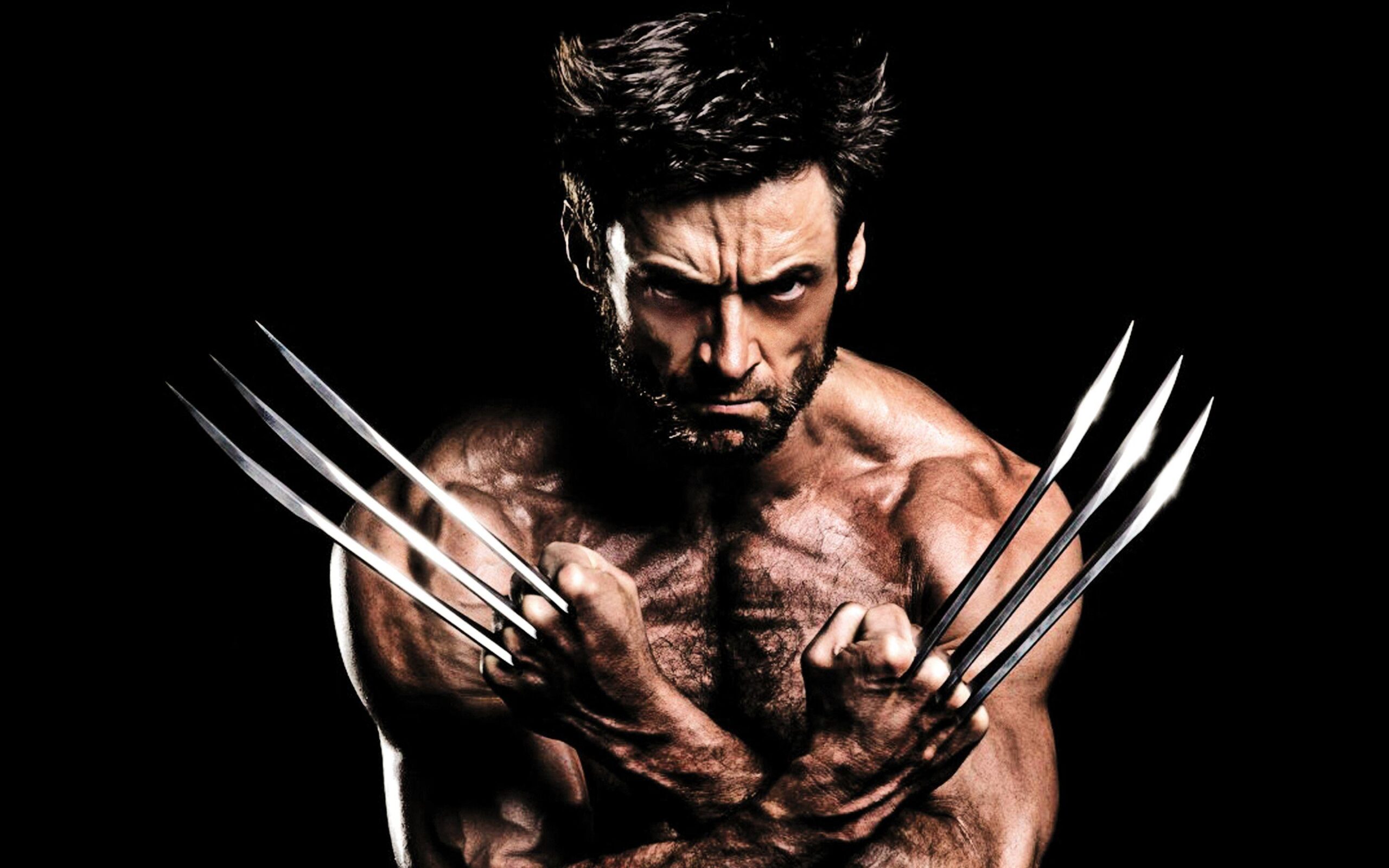 2013 The Wolverine Wallpapers