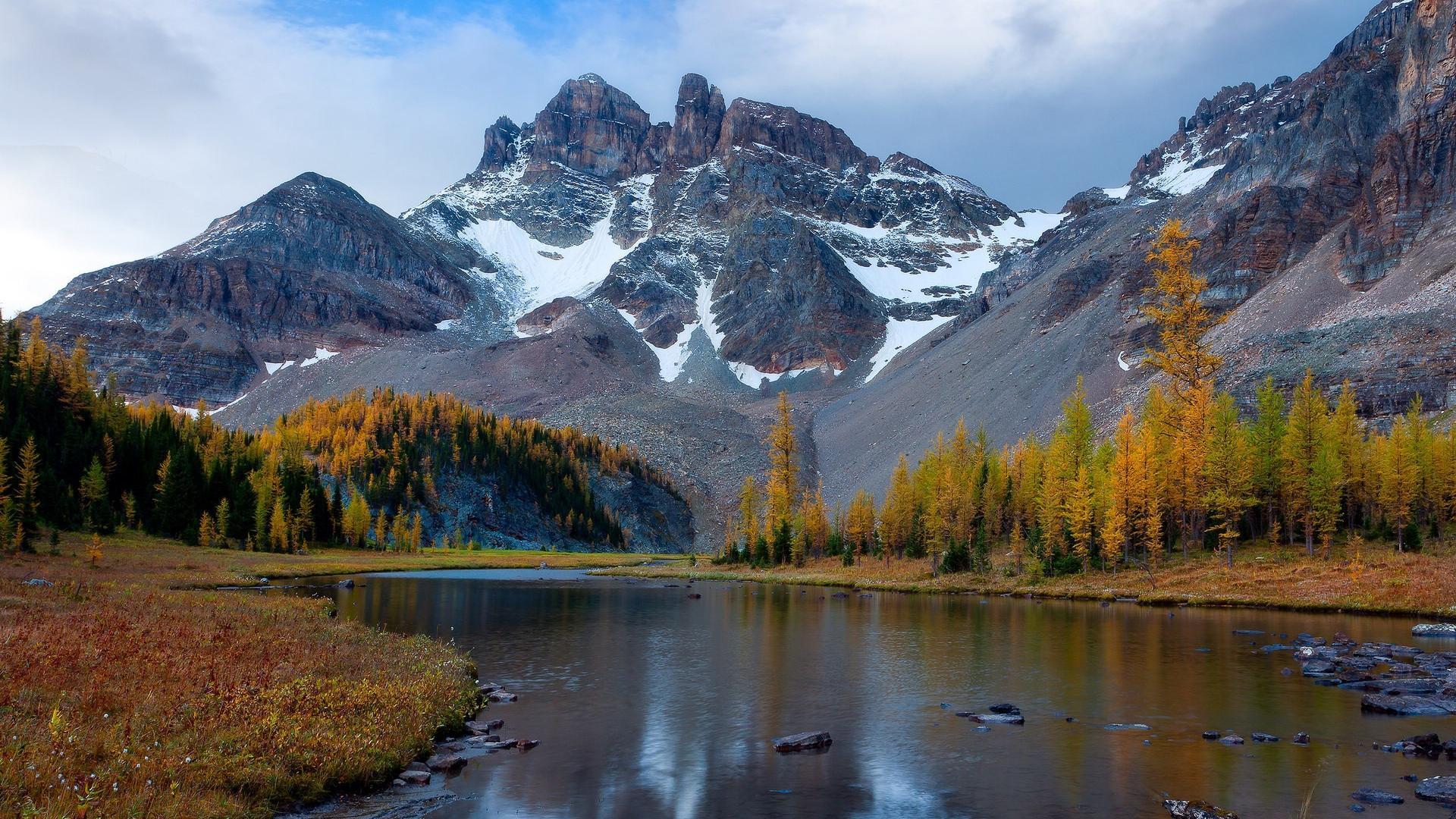 British columbia canada larch mount assiniboine canadian rockies