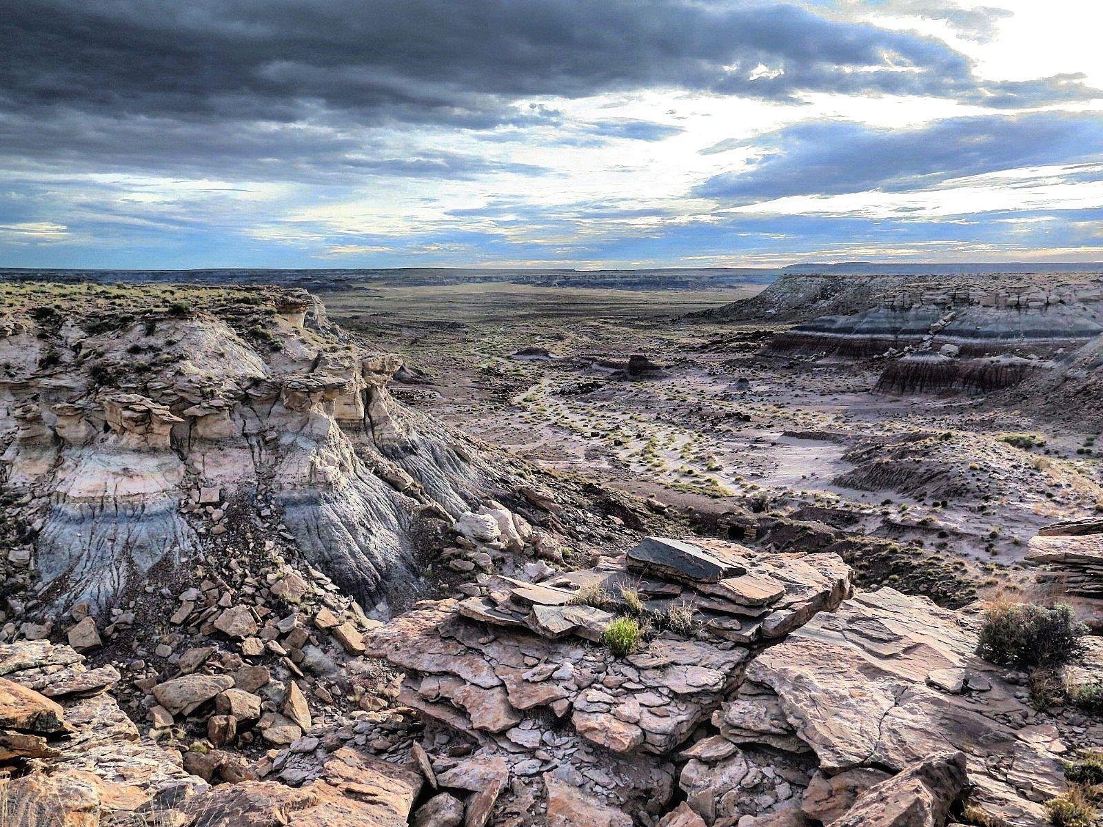 Petrified Forest National Park Arizona [OC][] landscape