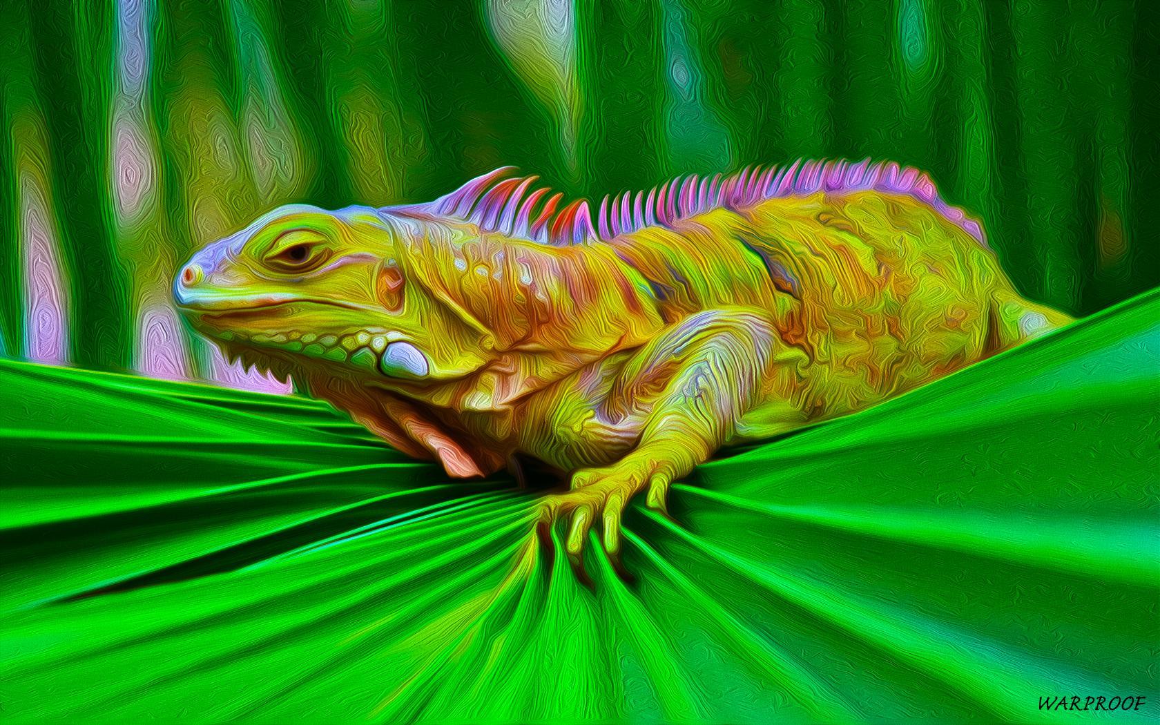 IGUANA Wallpapers and Backgrounds Image