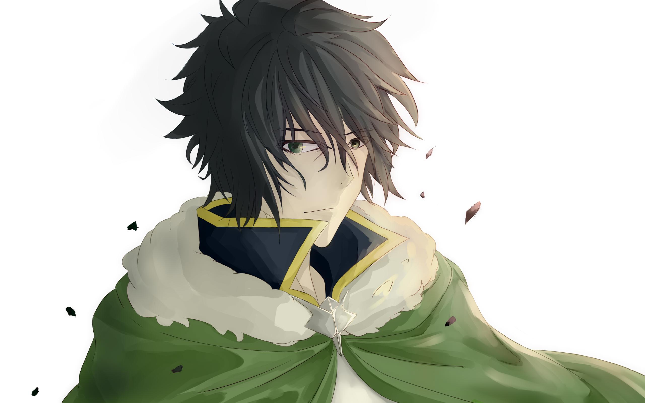 Wallpapers The Rising of the Shield Hero, Naofumi Iwatani Desktop