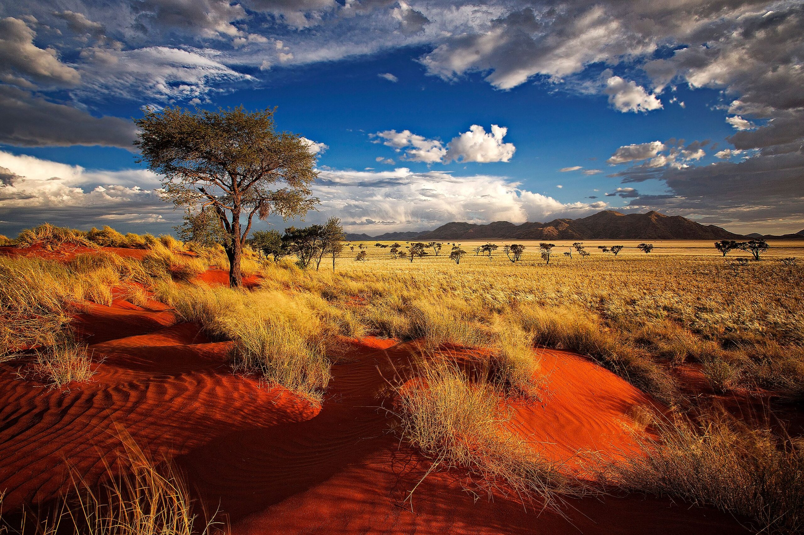 px Widescreen wallpapers of Namibia 9