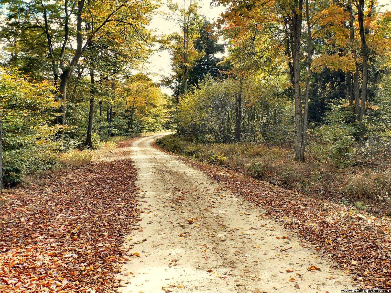 Desktop Wallpapers » Natural Backgrounds » Allegheny National