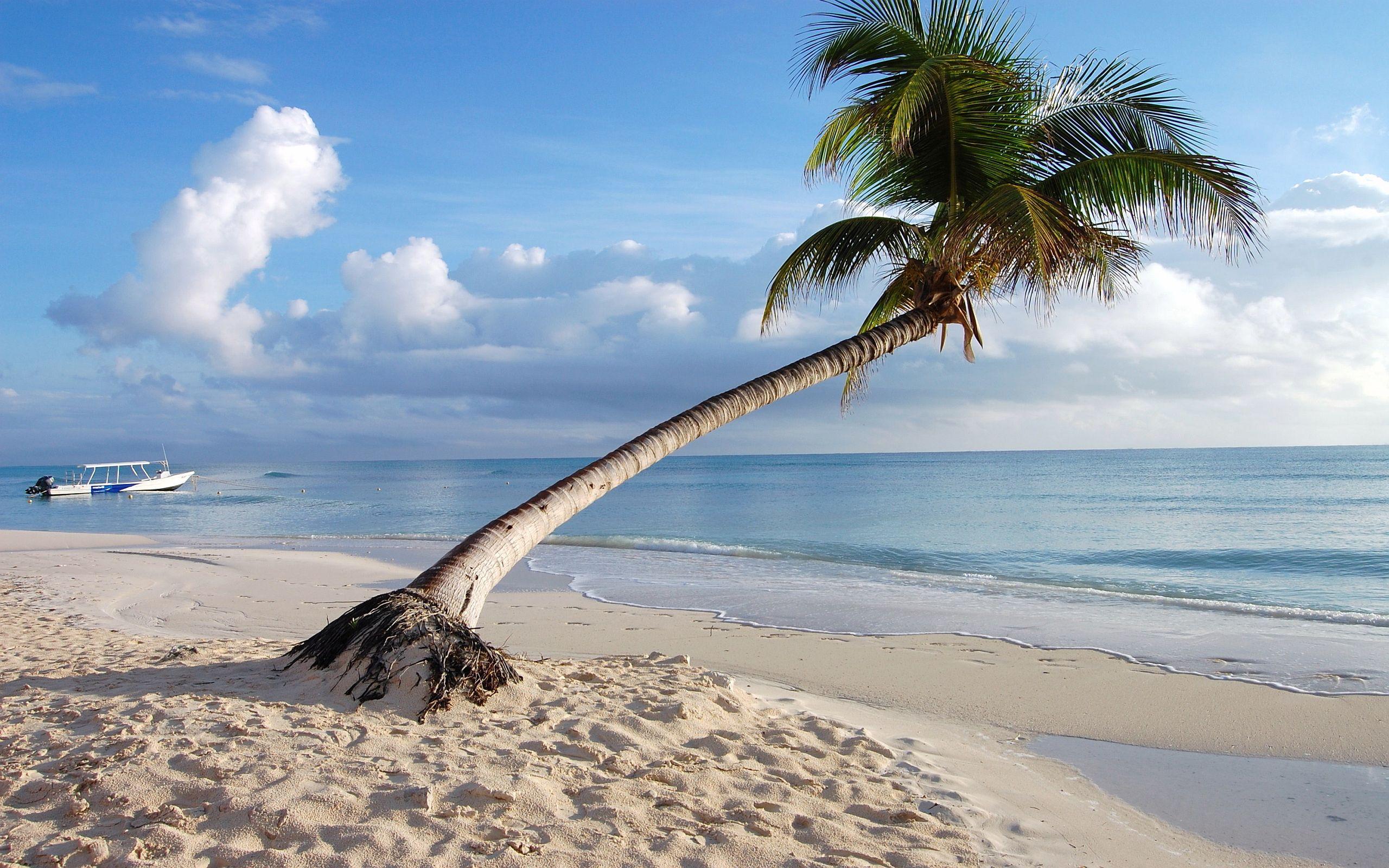 Palm Beach Solomon Islands