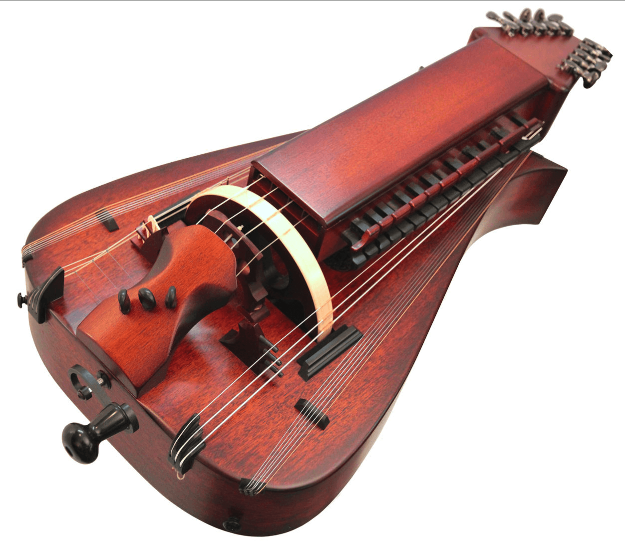 Hurdy Gurdy