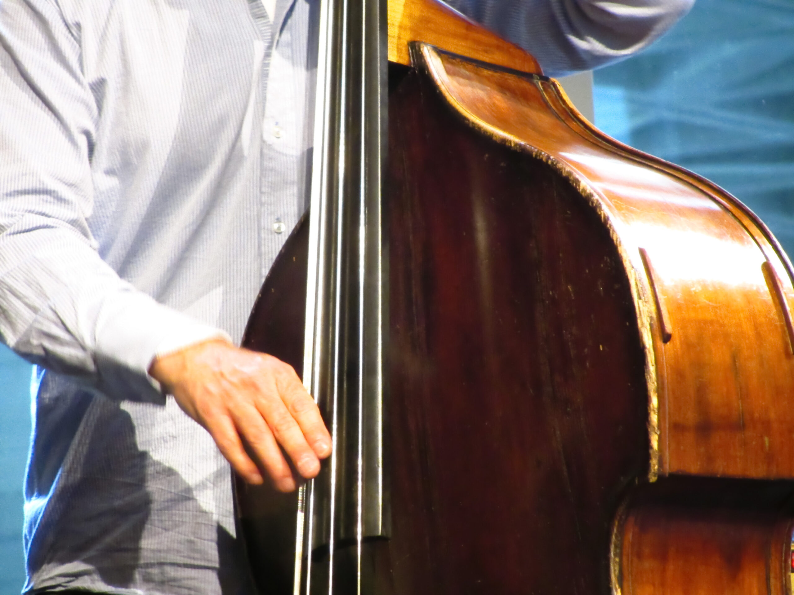 File:Double Bass