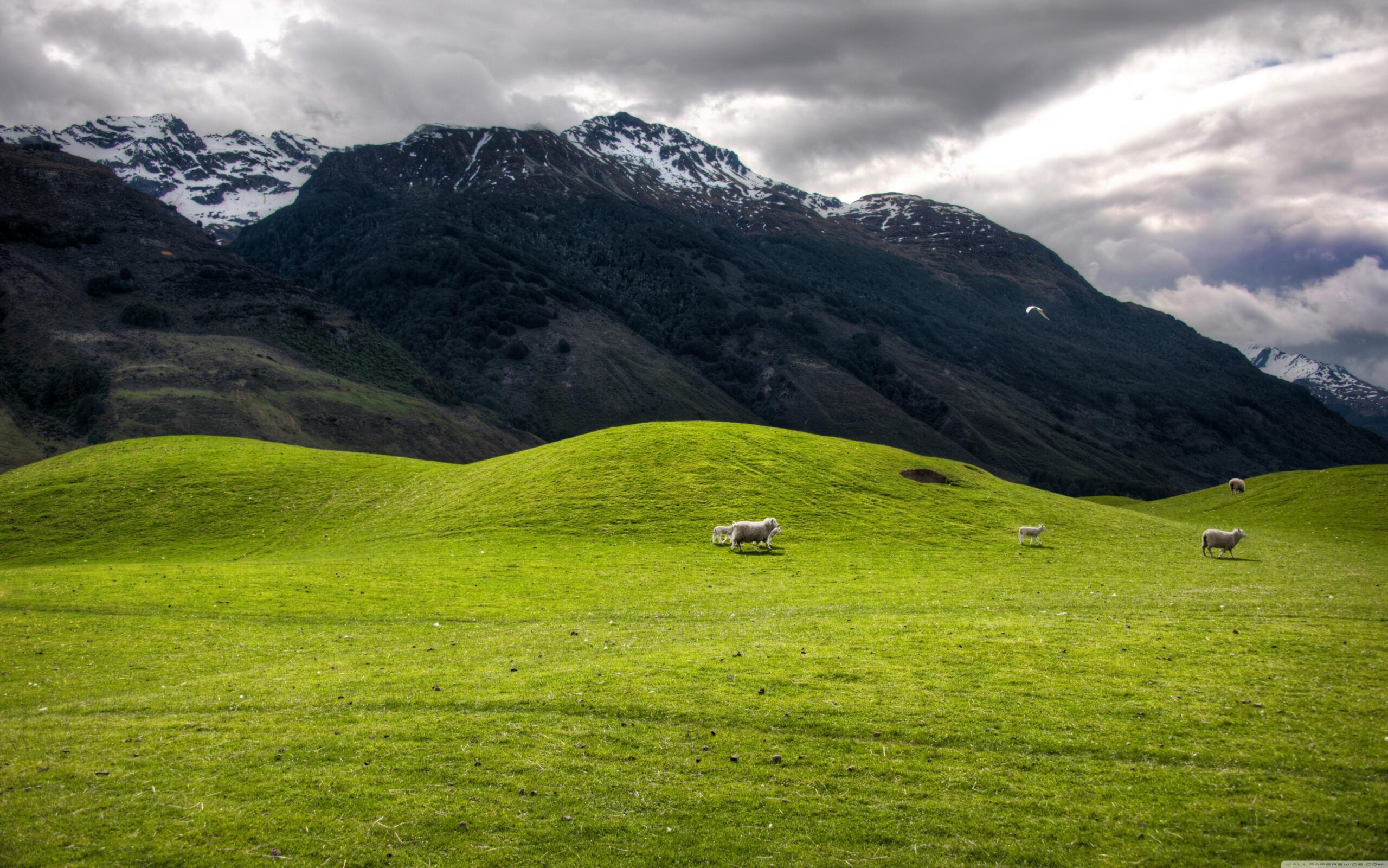 Hills And Mountains ❤ 4K HD Desktop Wallpapers for 4K Ultra HD TV