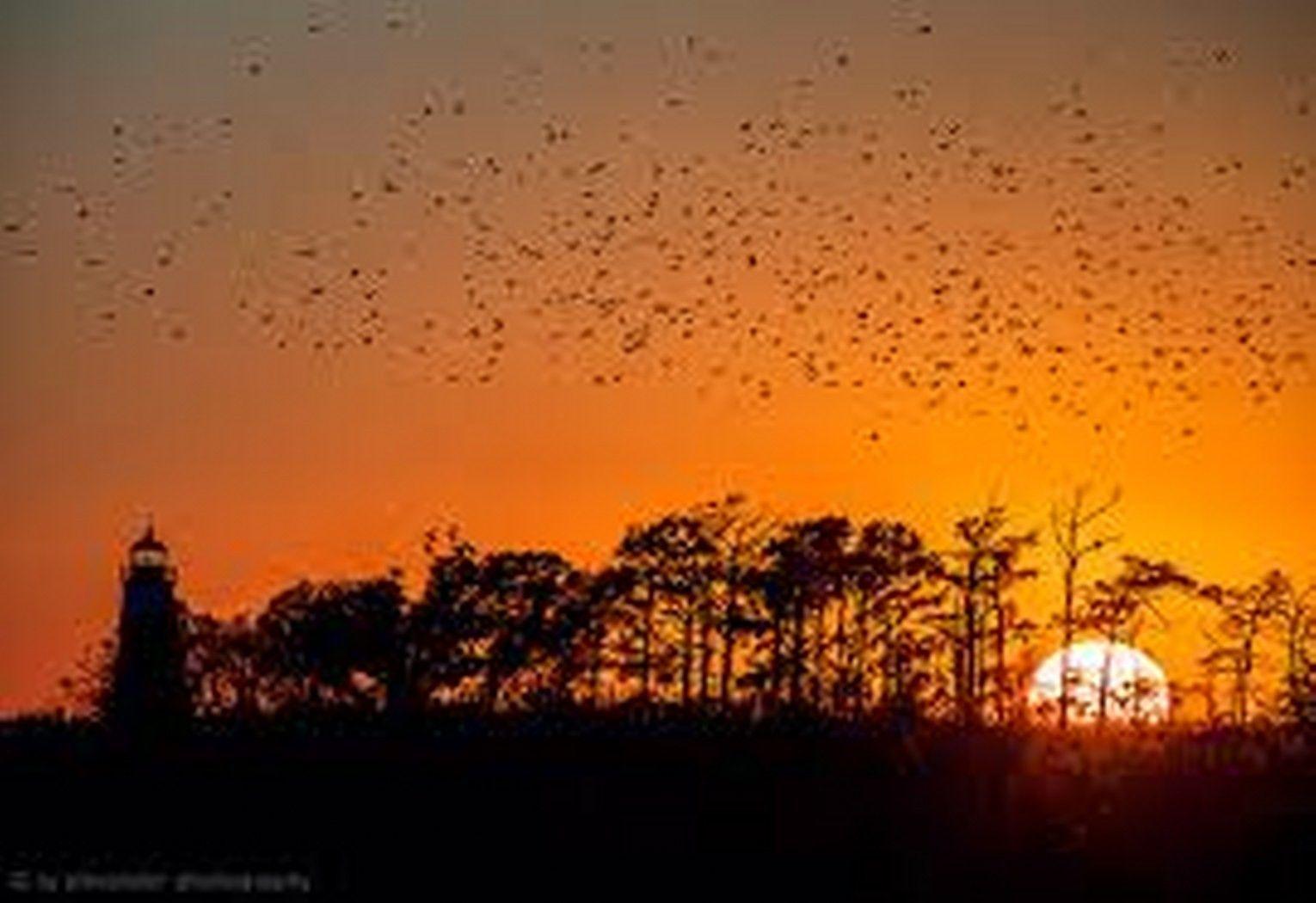 Louisiana Tag wallpapers: Sabine River Texas Louisiana Deep Blue