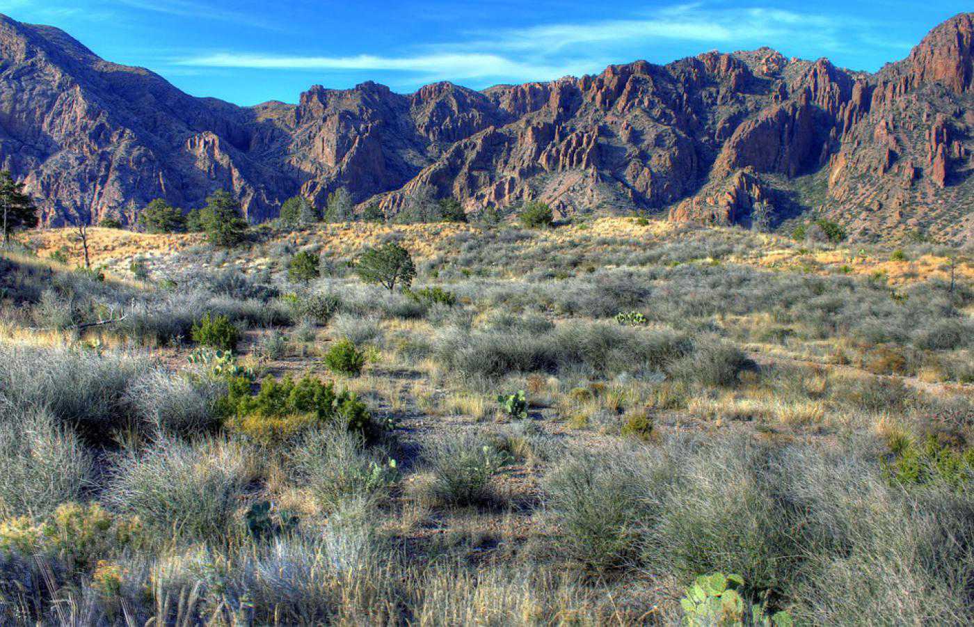 Wallpapers download: Big Bend National Park Texas