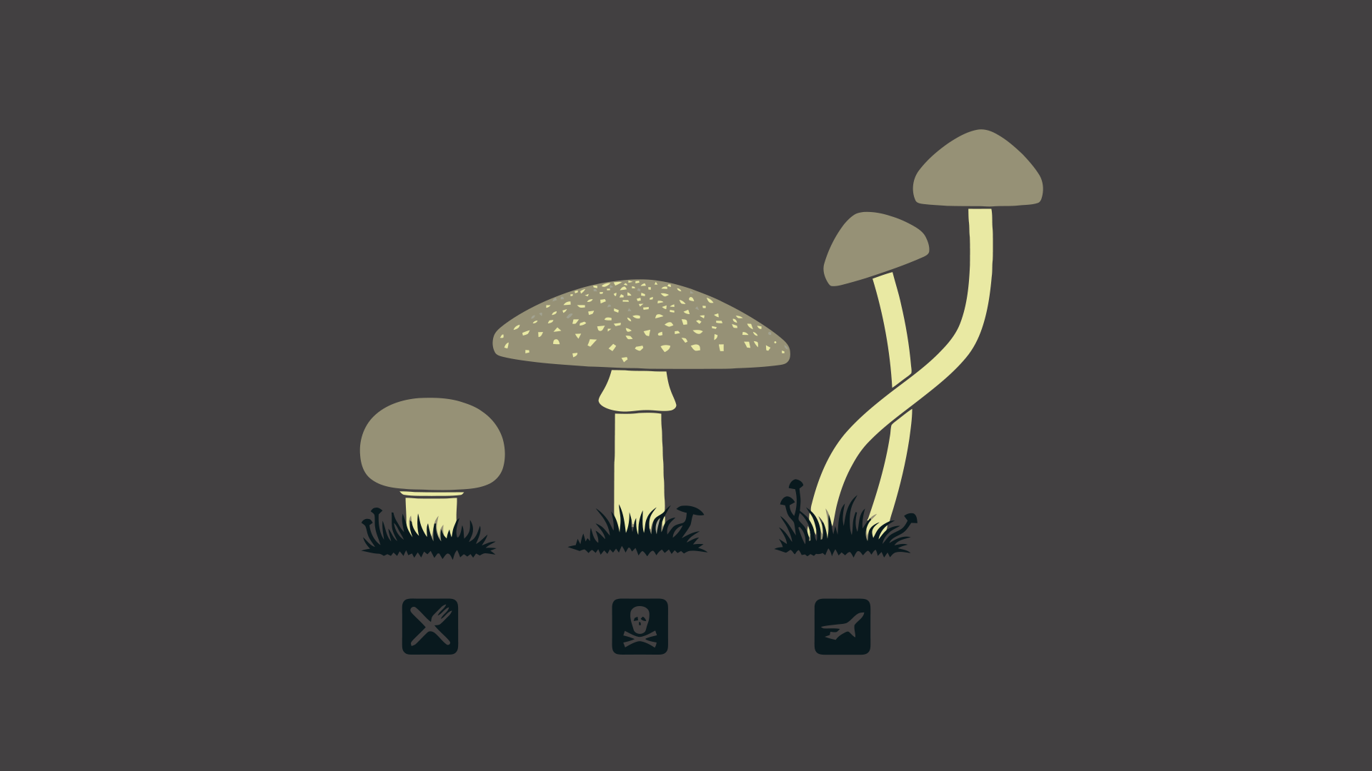 Mushrooms : wallpapers