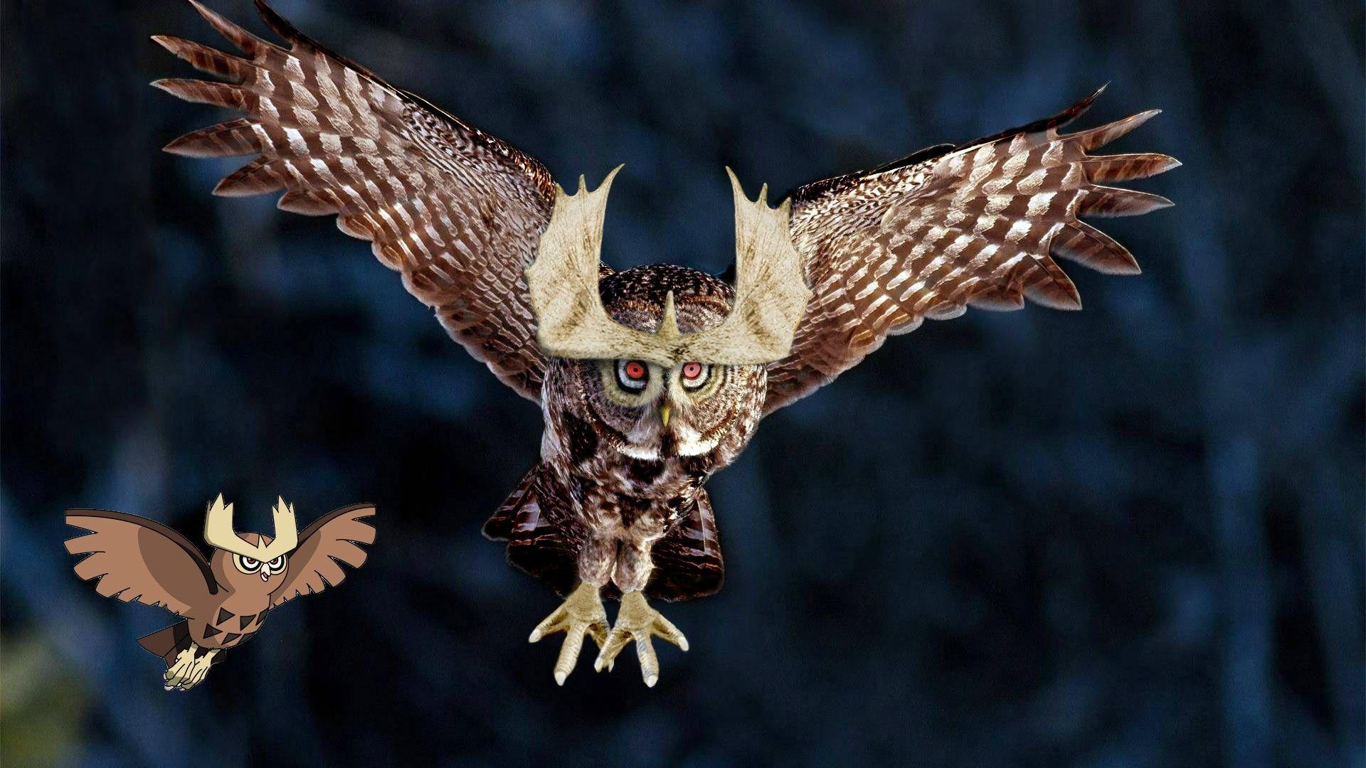 Noctowl