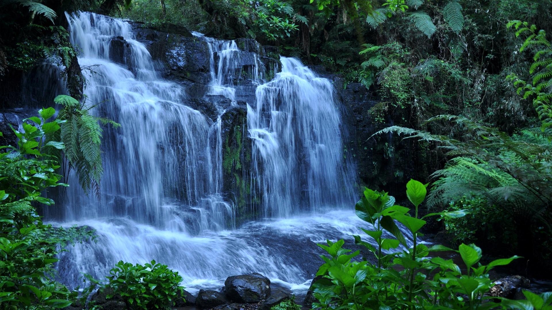 Kaieteur Falls in Guyana Beautiful Waterfall HD Wallpapers