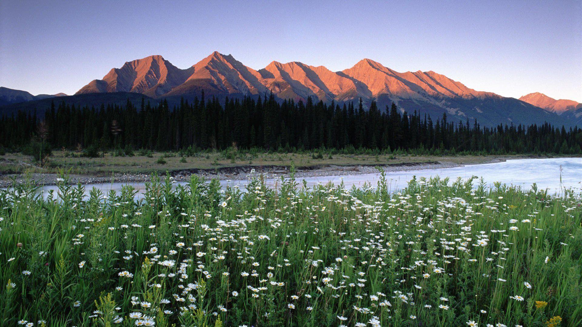 British Columbia Rocky Mountains Wallpapers