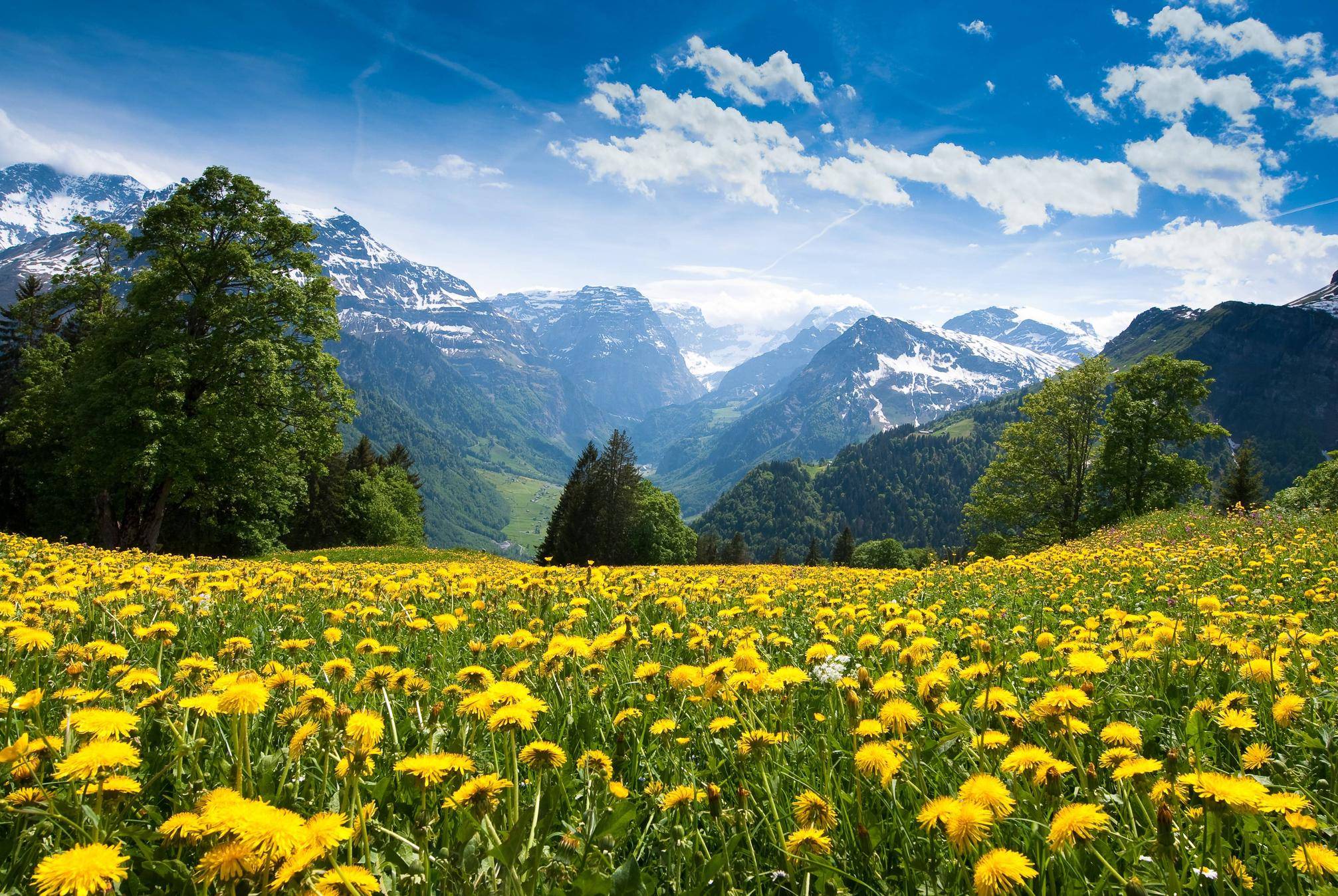 Lake In The Alps Wallpapers Landscape Nature Wallpapers