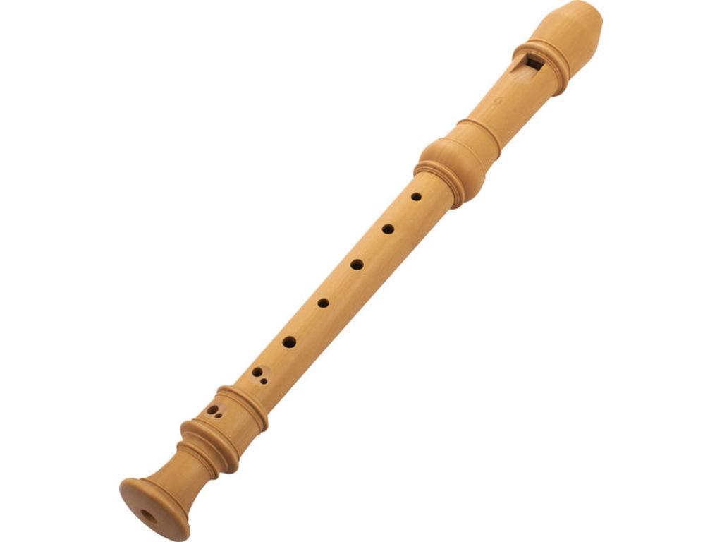 Recorder buy, order or pick