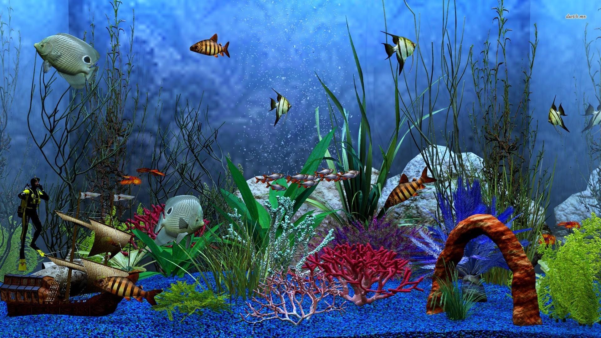 65+ Fish Tank Wallpapers