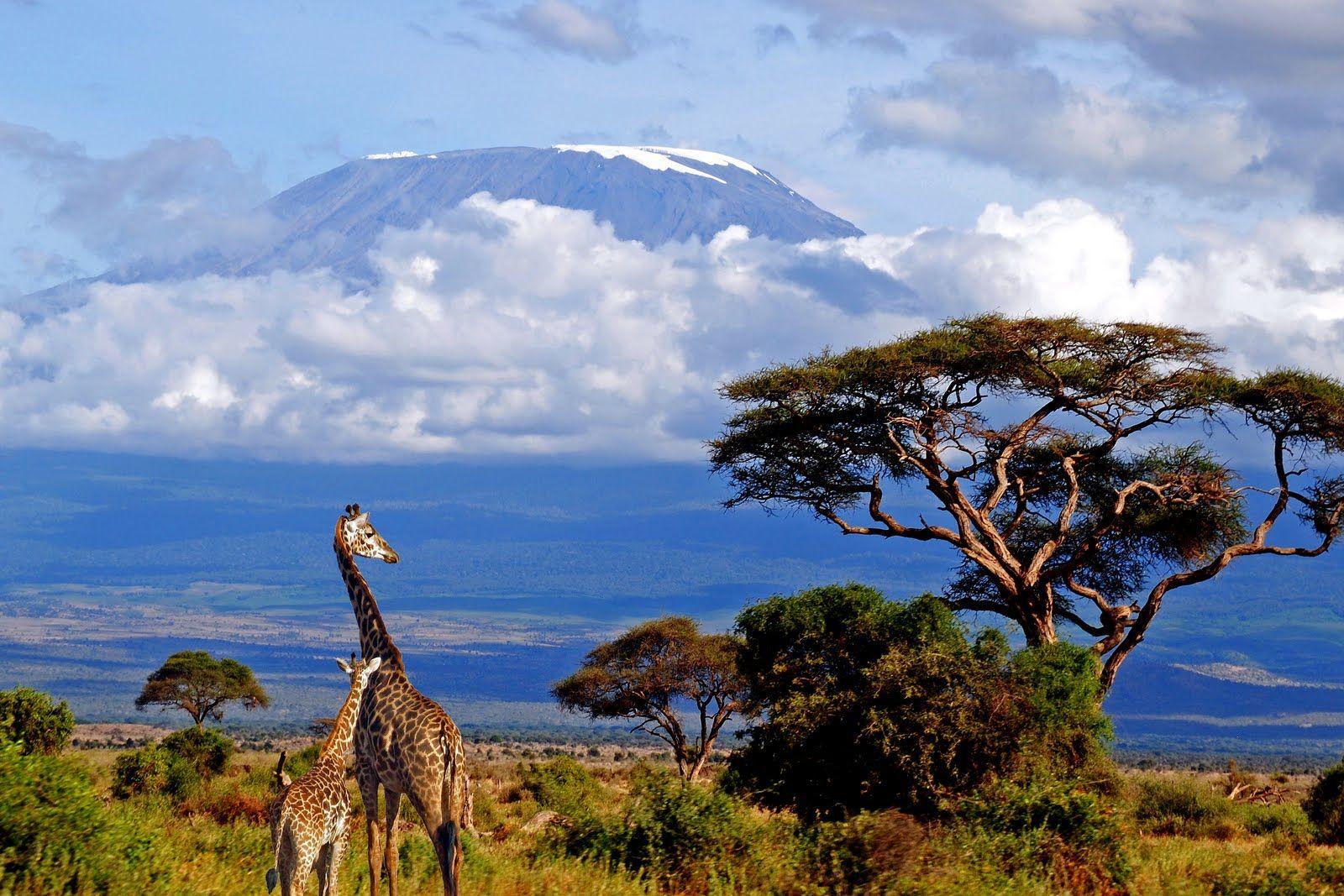 Tanzania Wallpapers HD