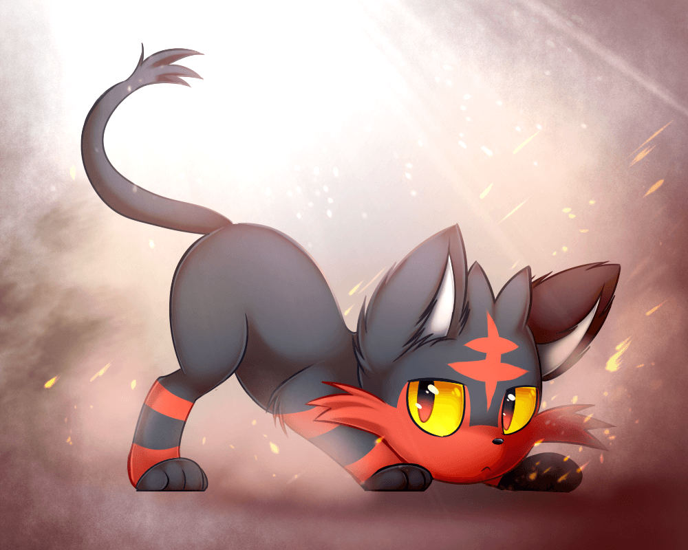 Litten is Lit image Litten HD wallpapers and backgrounds photos