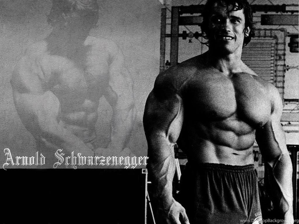 Arnold Schwarzenegger Wallpapers High Resolution And Quality