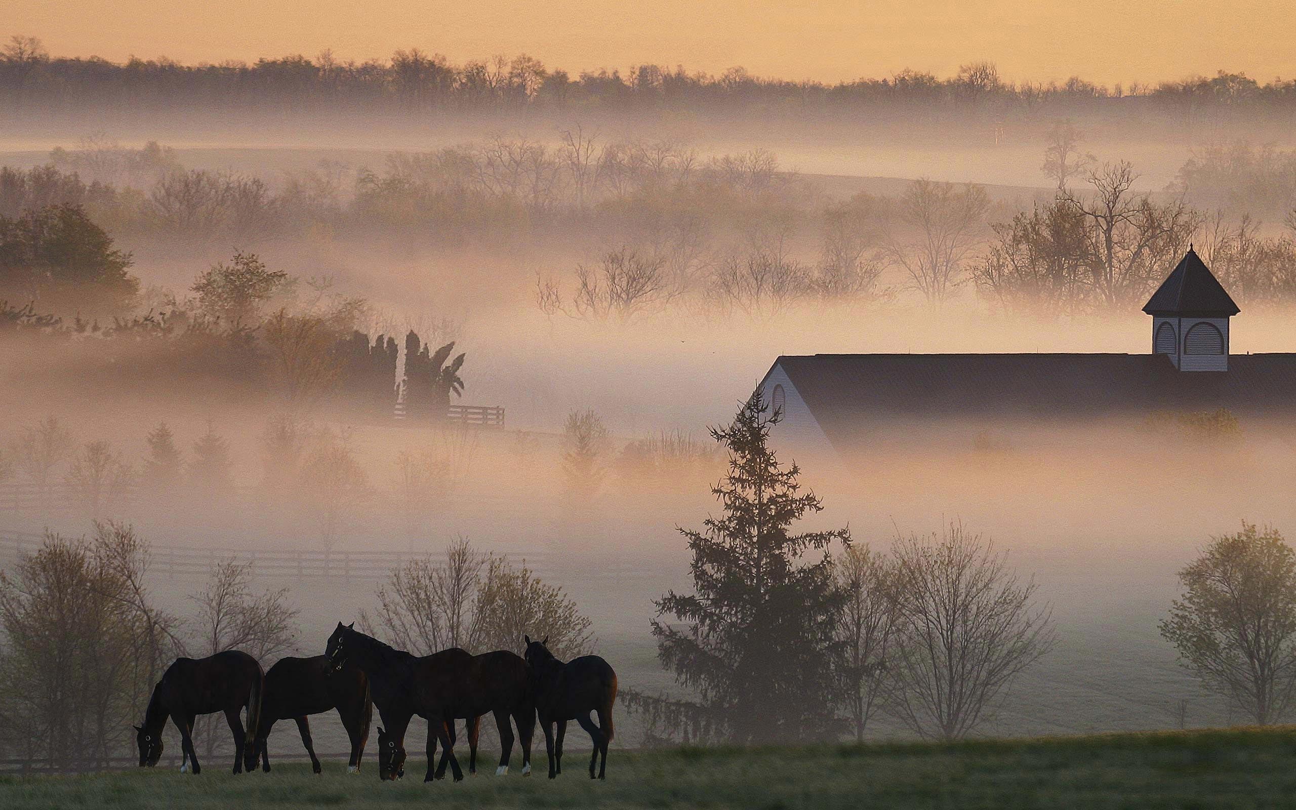 Kentucky Wallpapers ·①