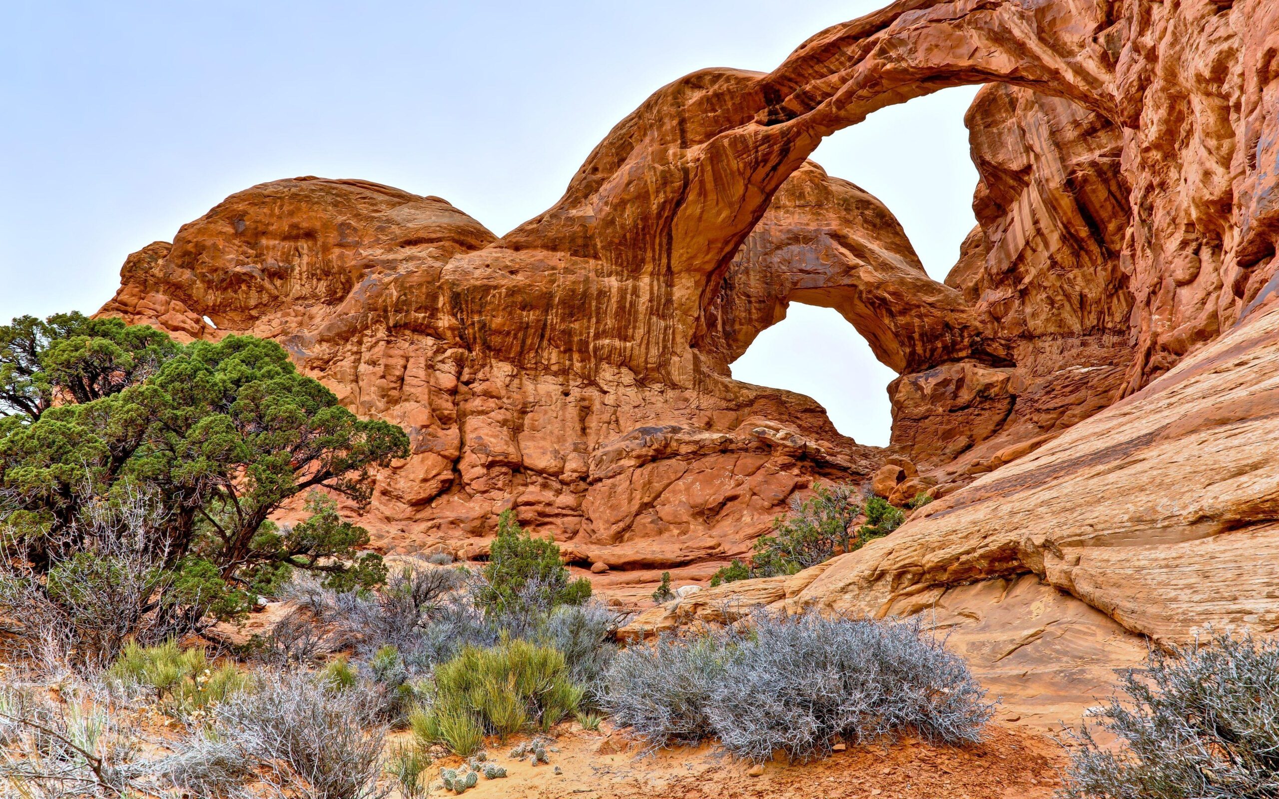 Adorable Free Utah Pictures, Free Utah Wallpapers