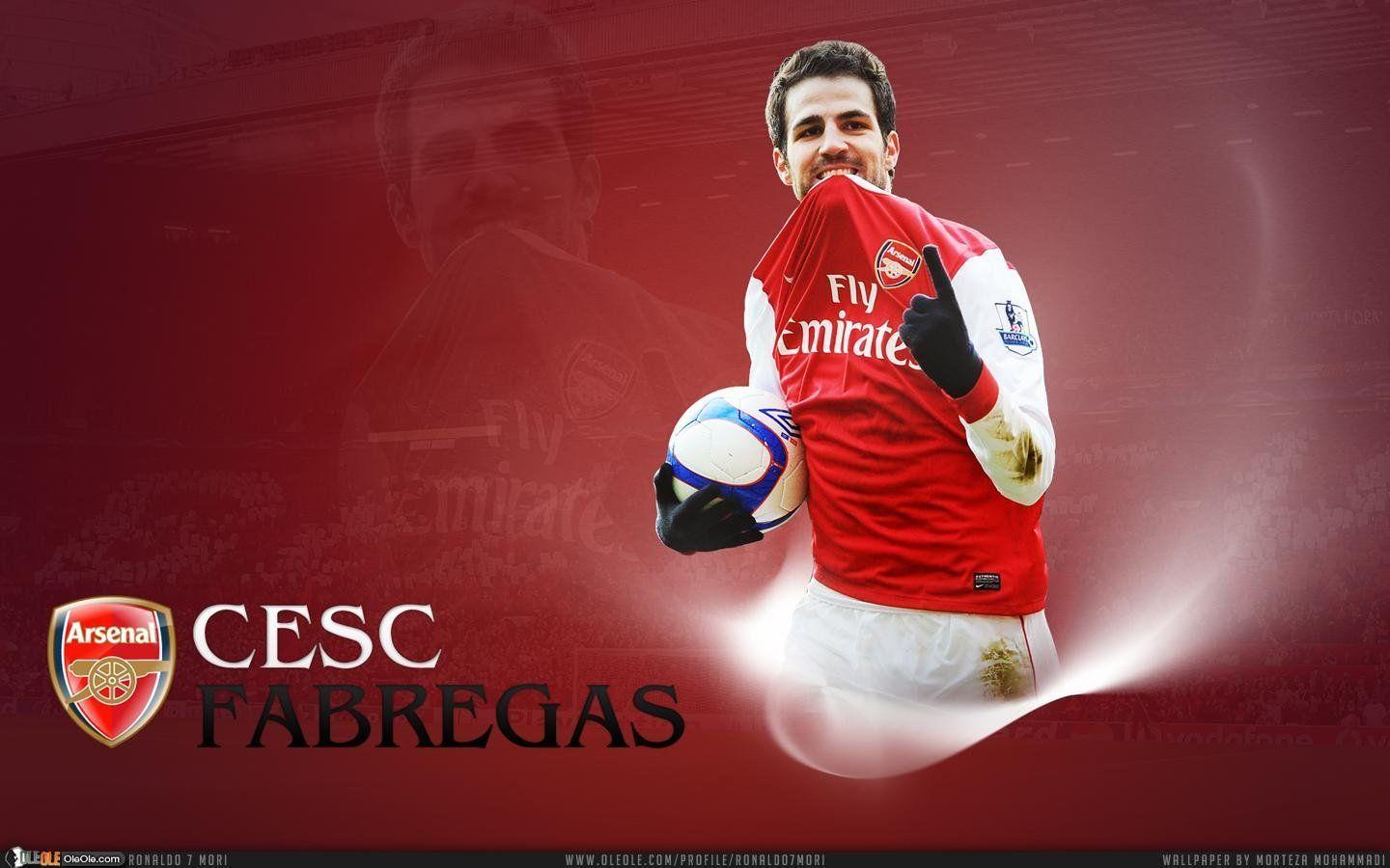 Cesc Fabregas Spanish Top Class Footballer Backgrounds