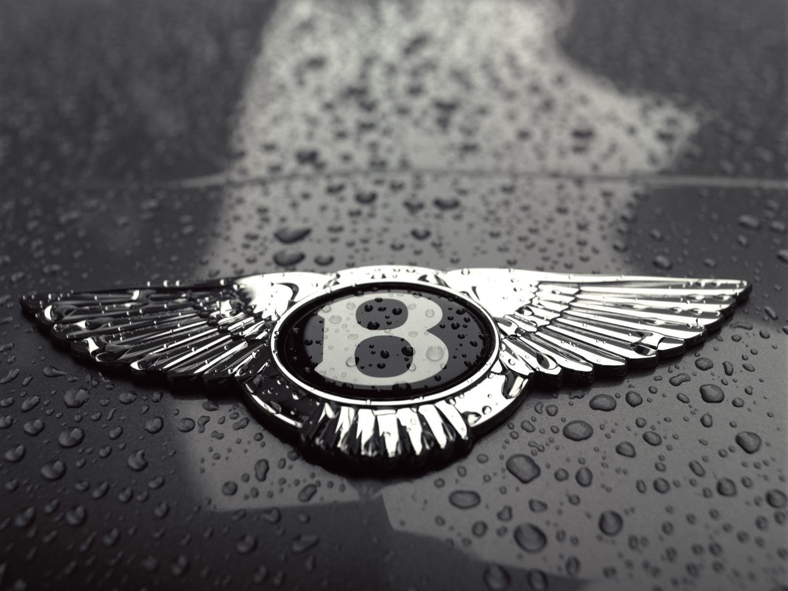 Bentley Motors Limited Car Logo Picture 8552 Wallpapers