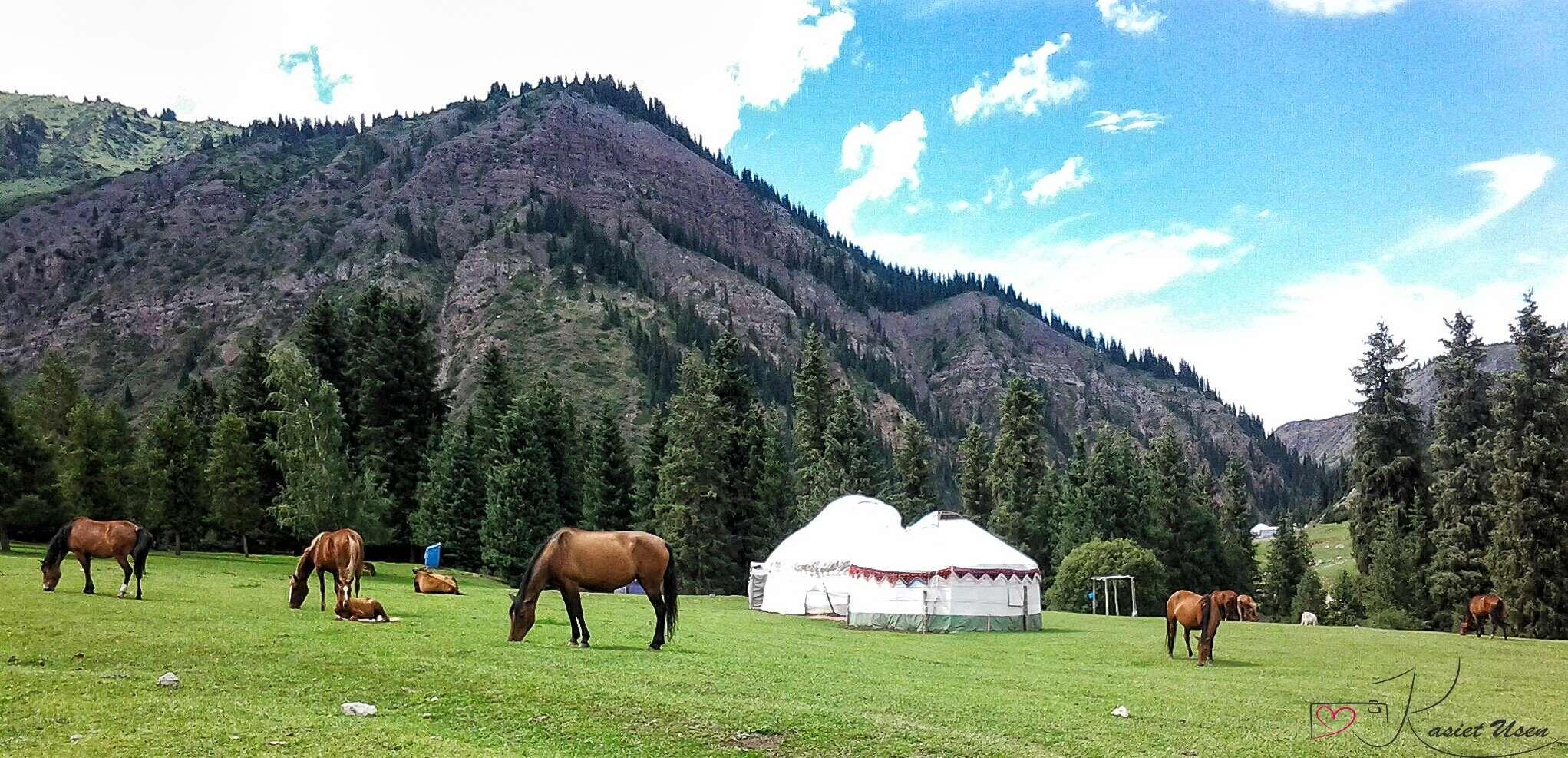 kyrgyzstan