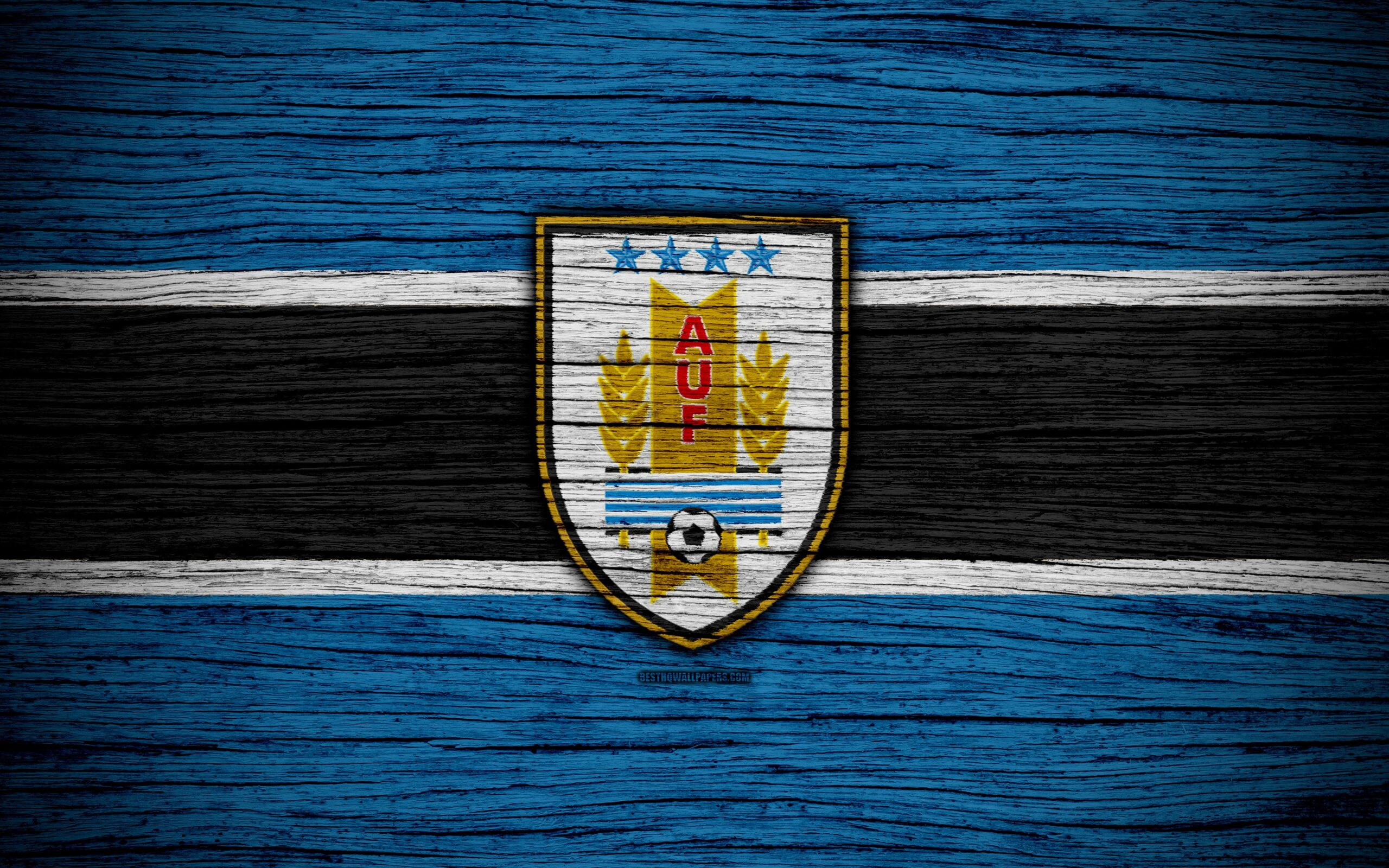 Download wallpapers 4k, Uruguay national football team, logo, North