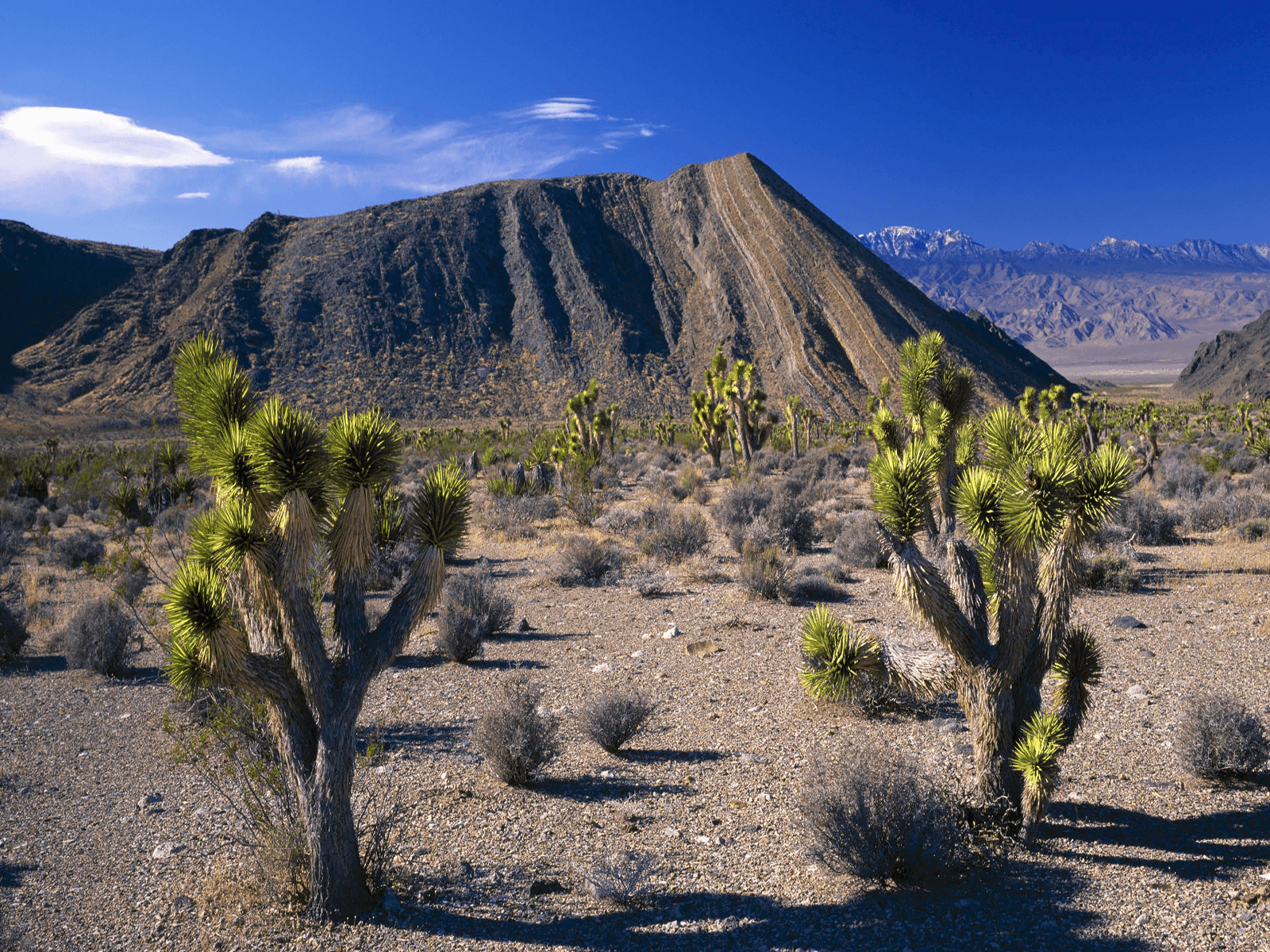 Nevada Wallpapers, Top Beautiful Nevada Image, 26