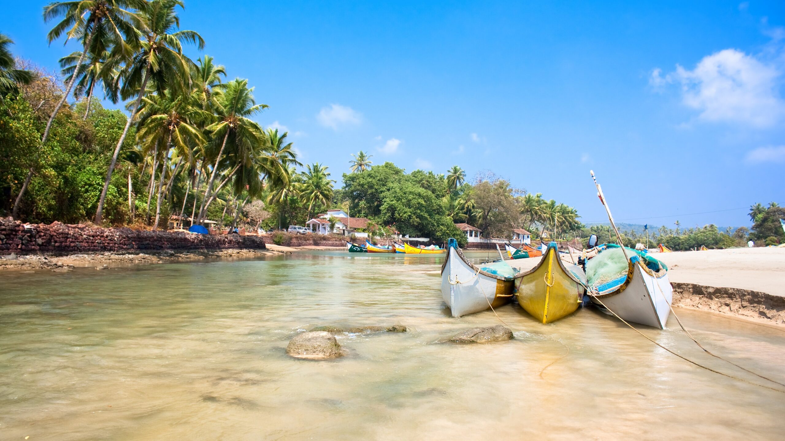 Wallpapers Goa, 5k, 4k wallpaper, India, Indian ocean, palms, boats