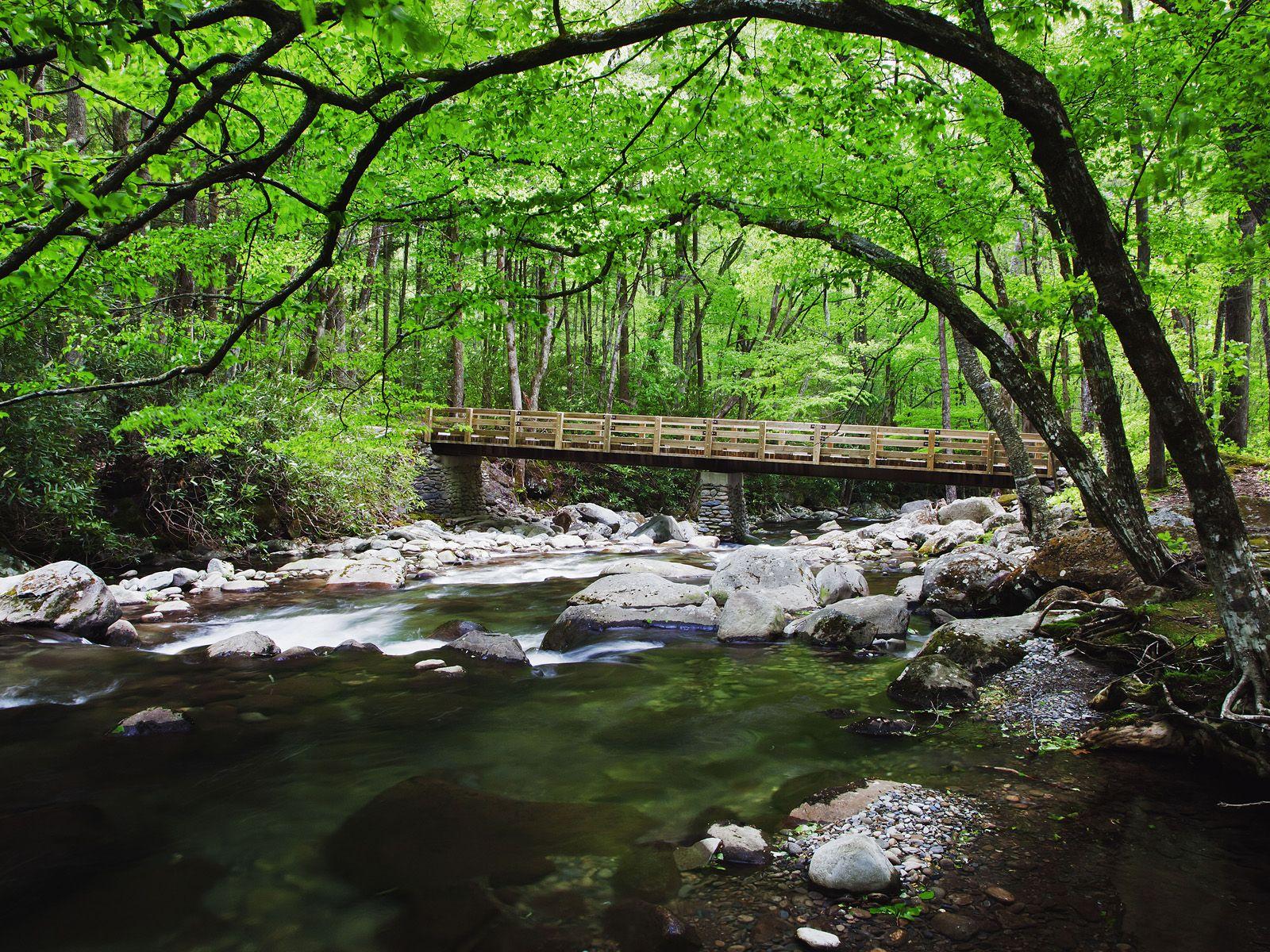 Bridge Over Creek Along Greenbrier, Great Smoky Mountains National