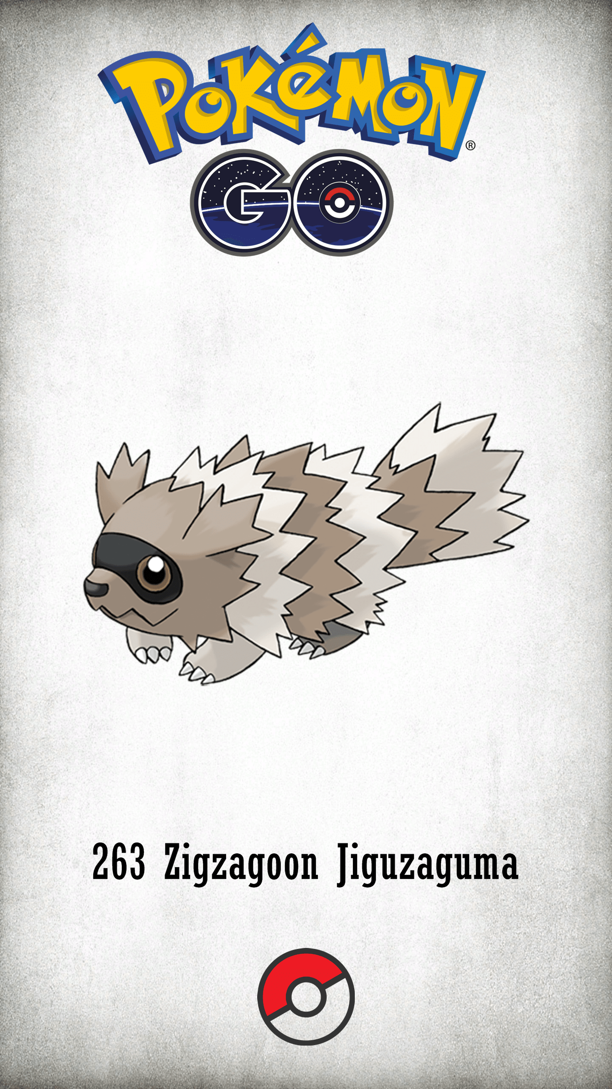 263 Character Zigzagoon Jiguzaguma