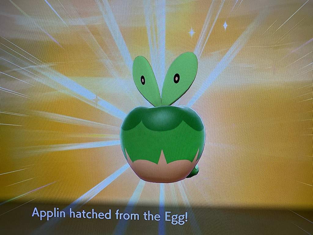 Just hatched this shiny Applin!!