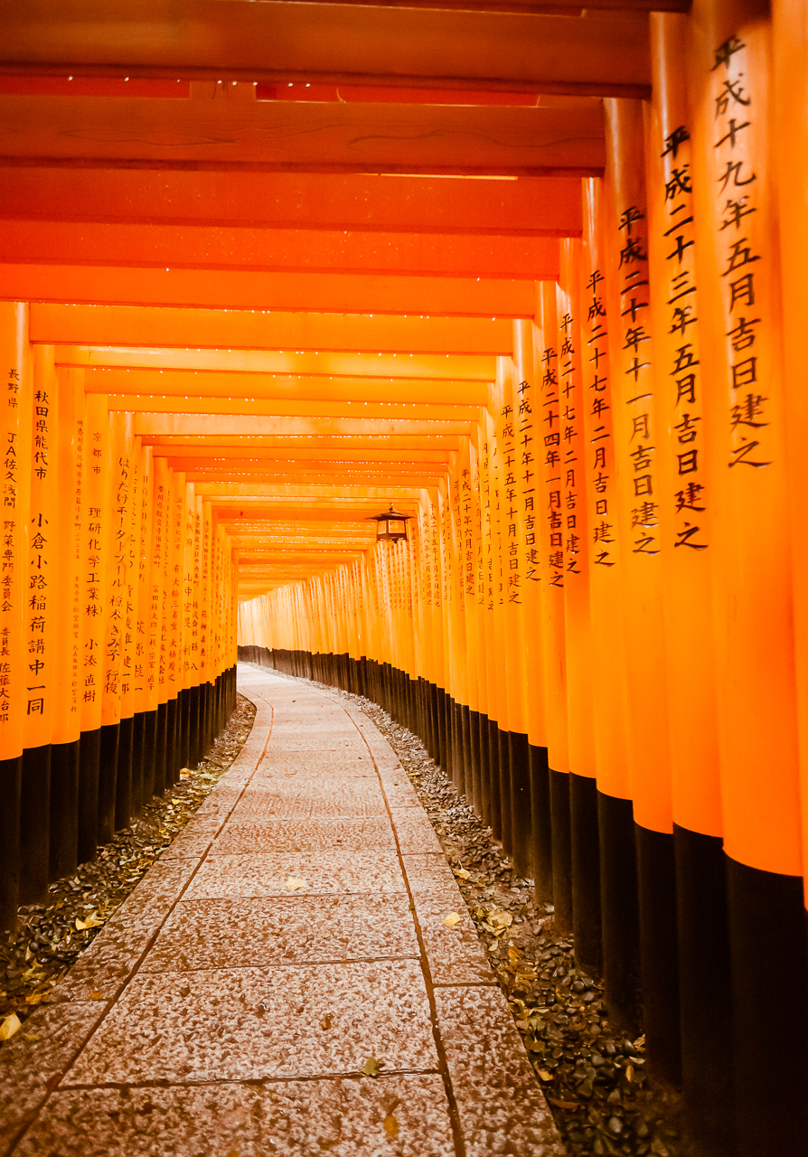 Torii Gates in the Rain at Fushimi Inari