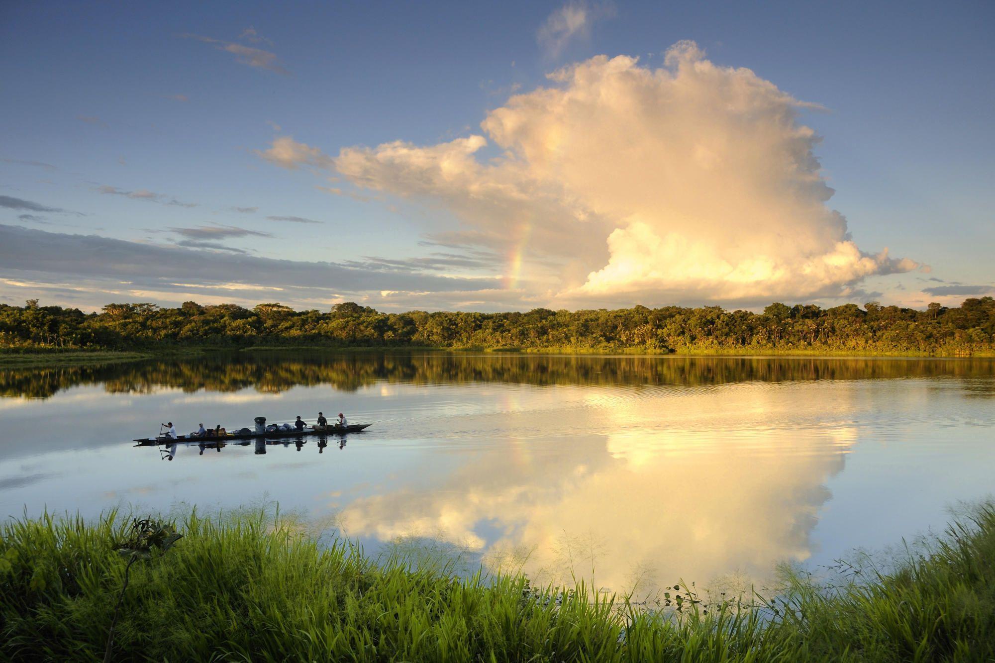 Yasuni National Park Ecuador Wallpapers