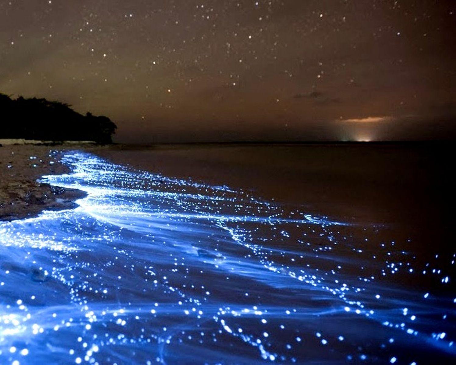 Sea of Stars on Vaadhoo Island []