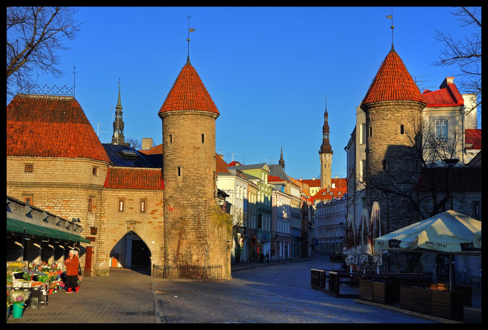 estonia florists