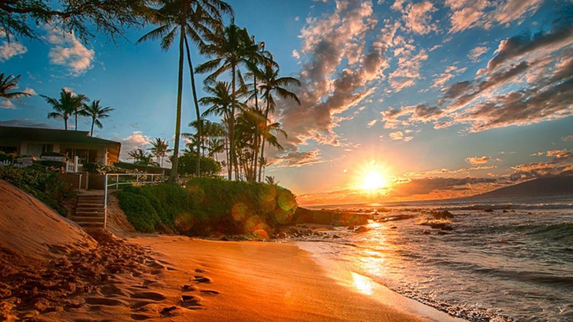 Hawaii Exotic Wallpapers Hd Sea Sand Beach Palms Green Sky With White