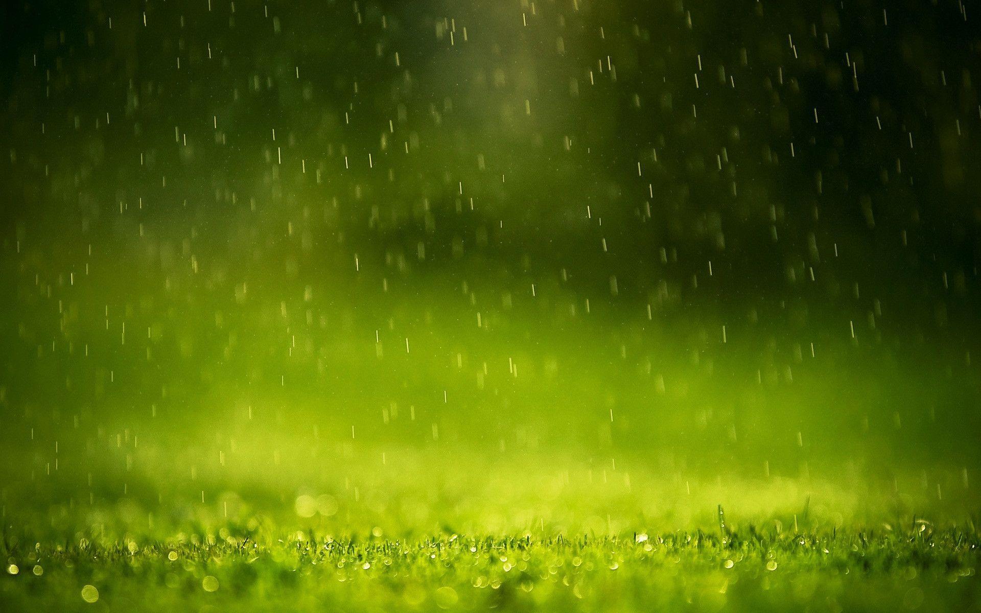 Rain Drops Wallpapers