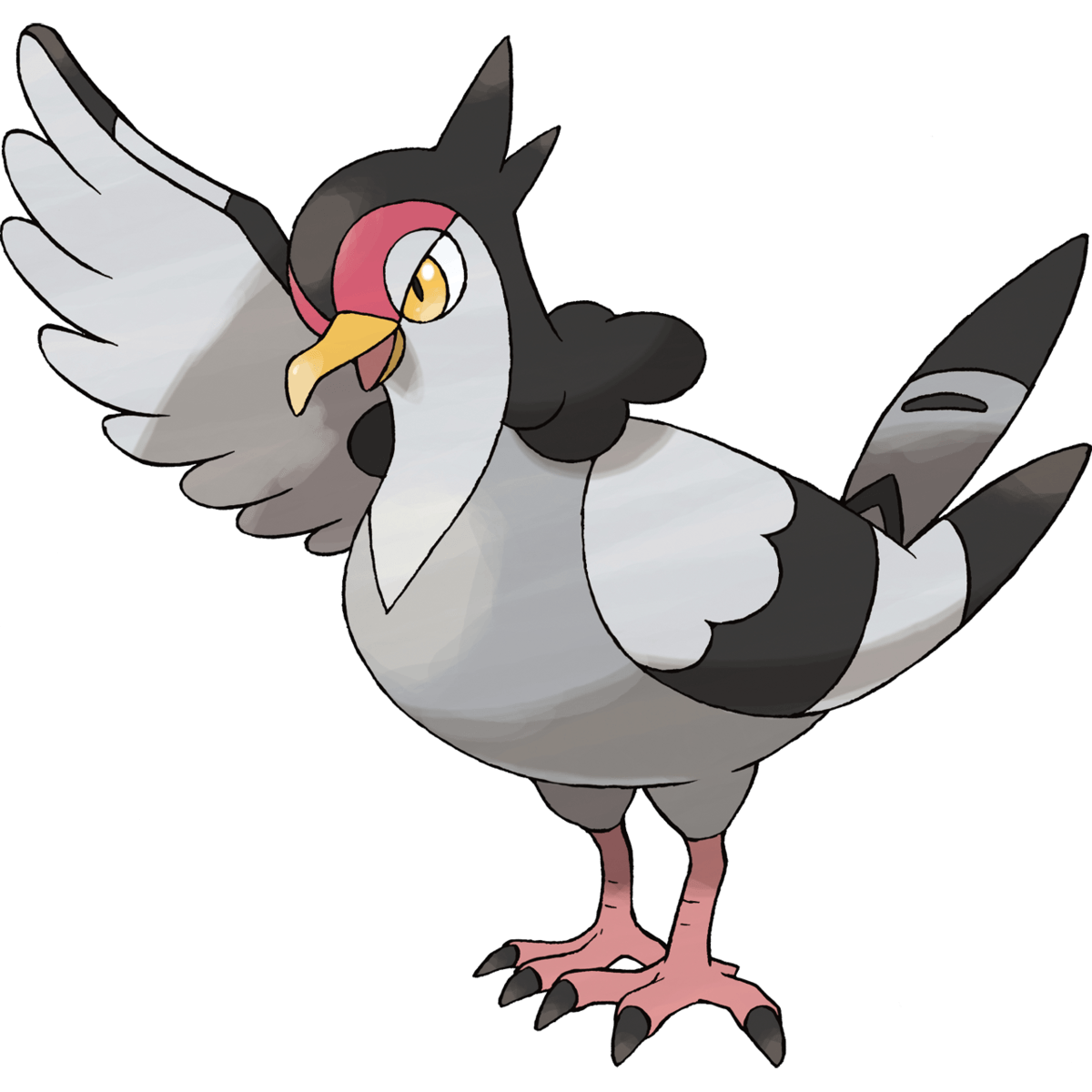 Pictures: Tranquill Pokemon,