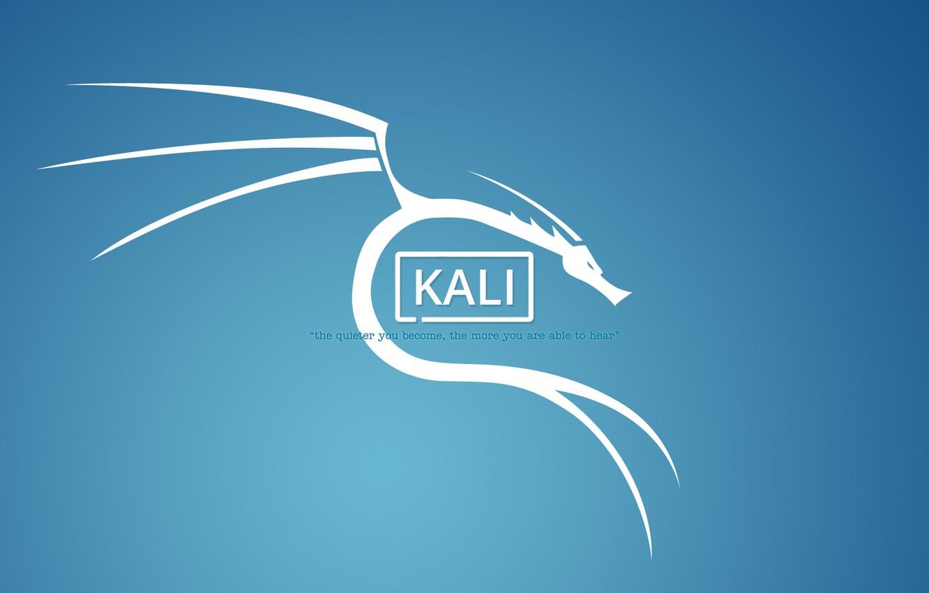 Wallpapers linux, dragon, Mr Robot, Kali, kali linux image for