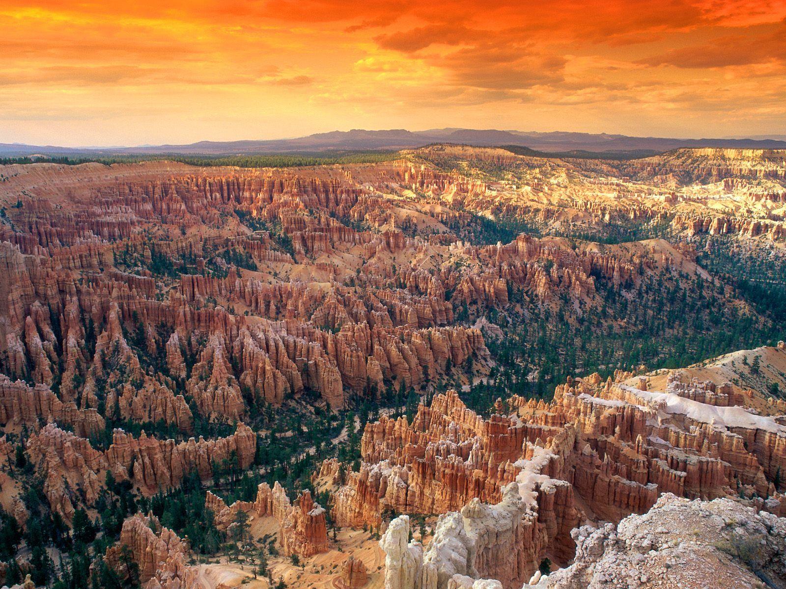 Bryce Canyon National Park Wallpapers